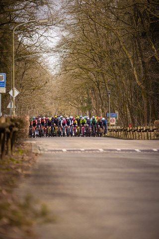 A group of cyclists are riding down a tree-lined street, passing by an Olympic sign.