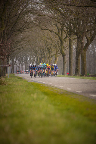 Wielrennen on a sunny day, group of cyclists dressed in blue and yellow racing down the road.