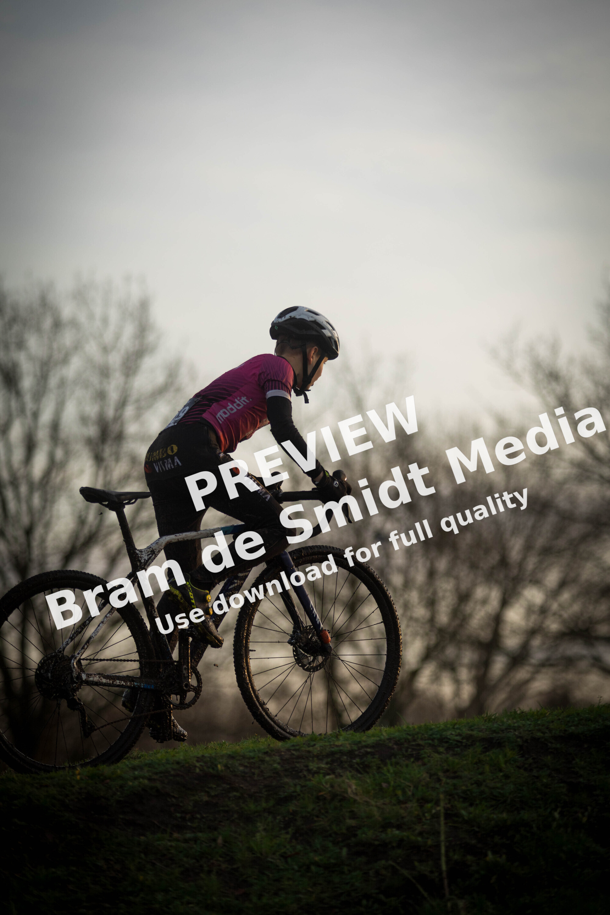A person on a bike in front of trees, the cyclist is wearing a helmet and a pink shirt.