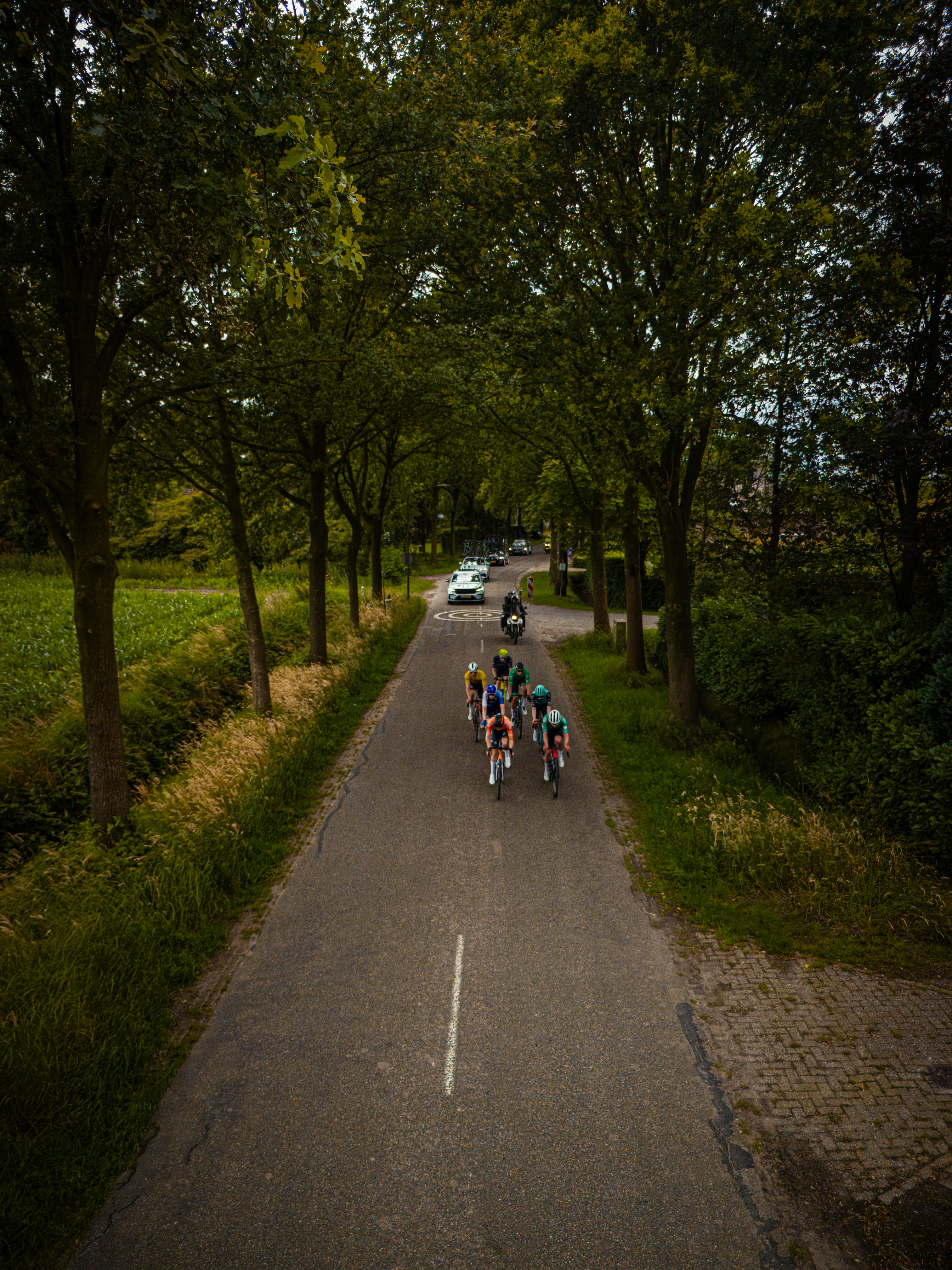 A group of cyclists racing down a street in the Midden Brabant Poort Omloop.