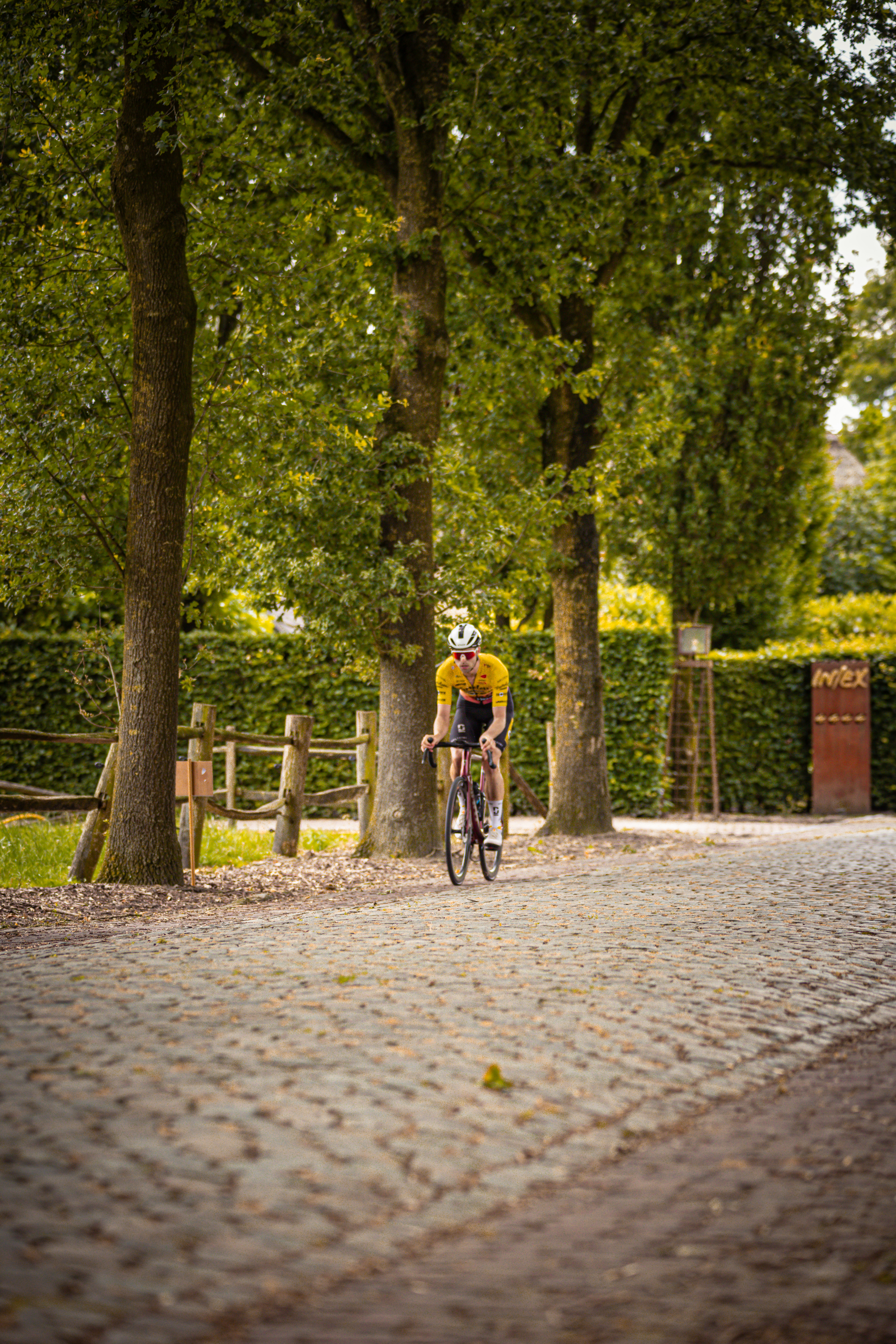 A bicyclist wearing a yellow shirt rides on a cobblestone road near trees and a hedge.