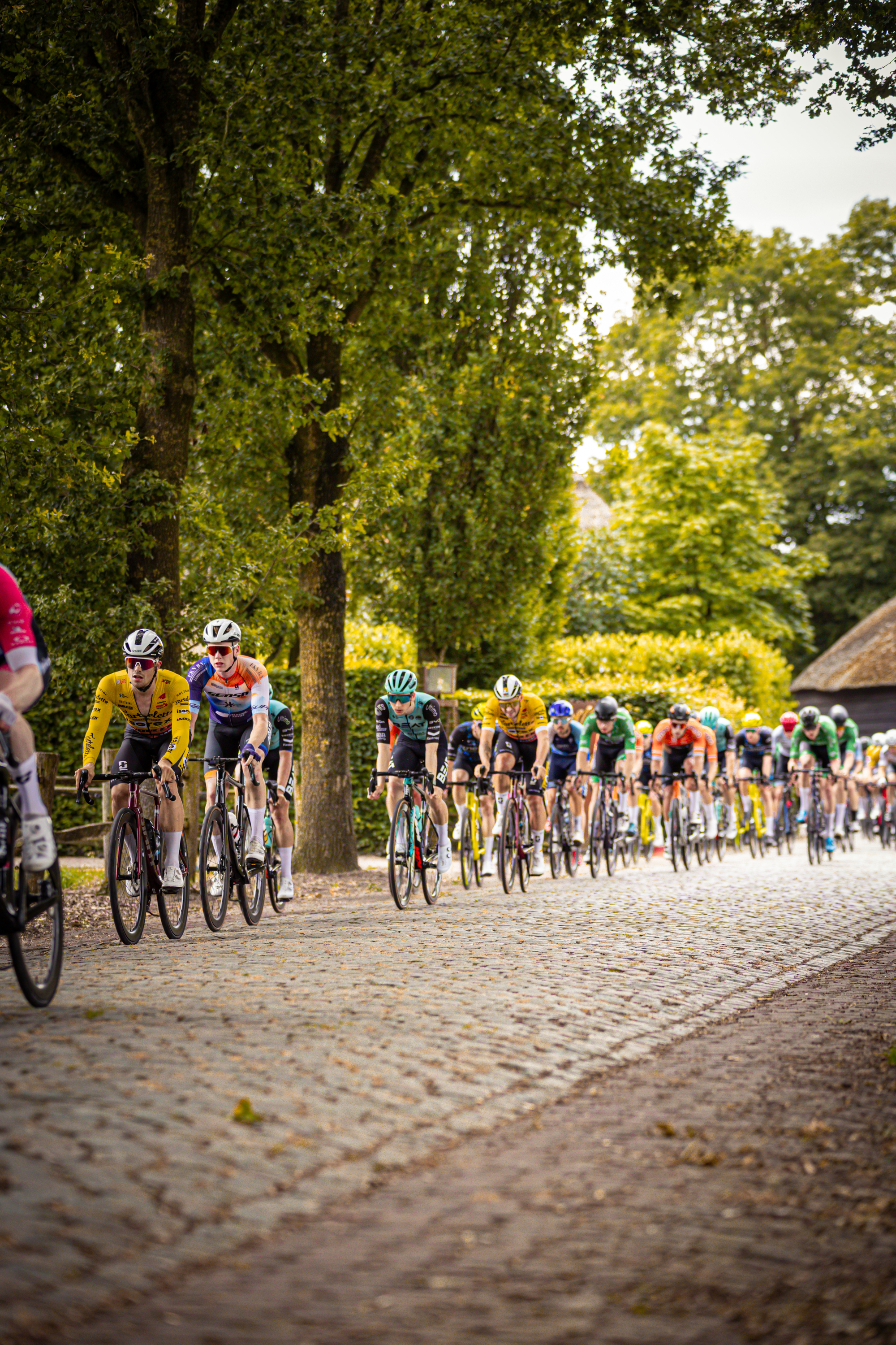 A group of cyclists are riding down a cobblestone street in Midden Brabant Poort Omloop.