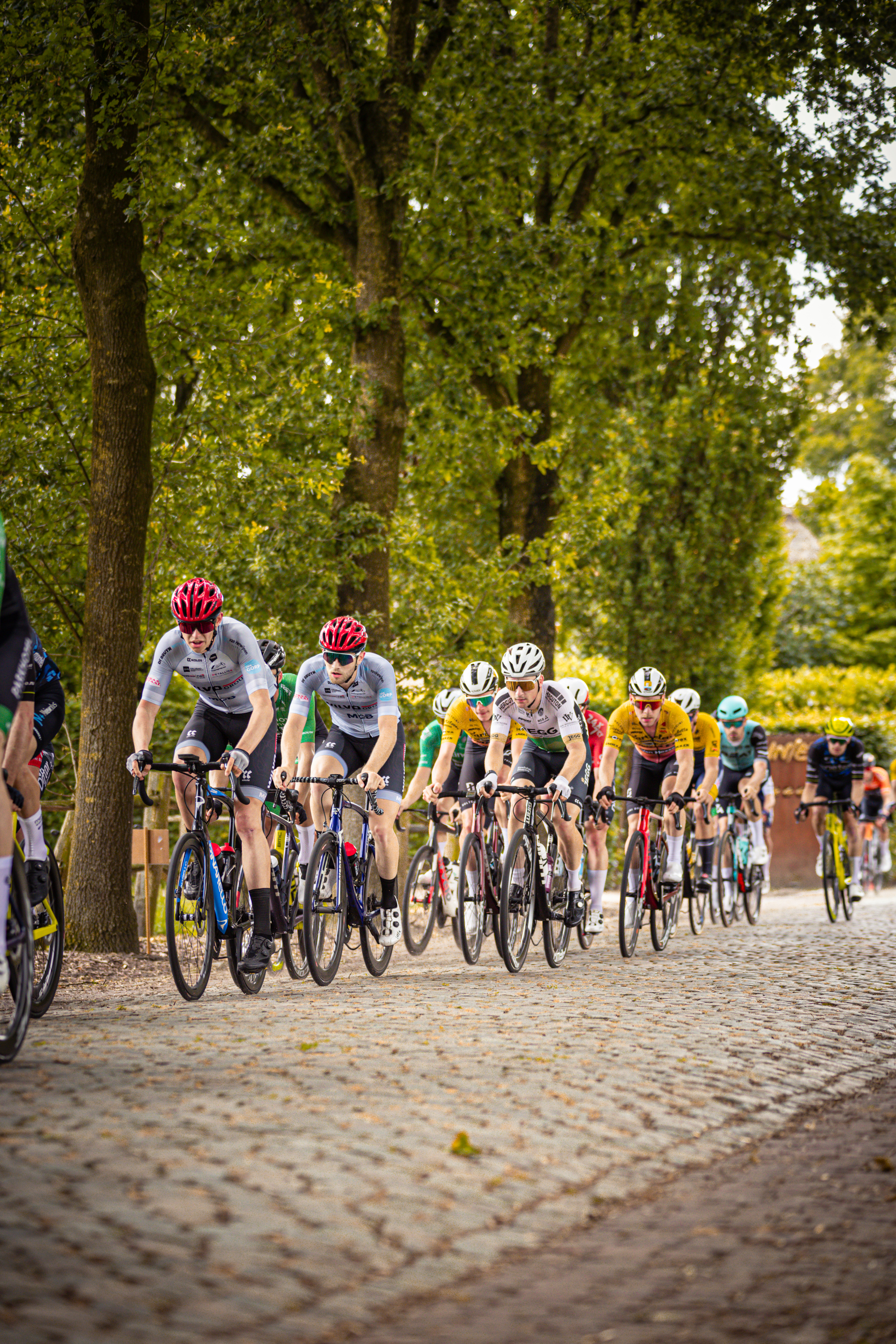 "Several cyclists are riding on a cobblestone path in the midst of the Midden Brabant Poort Omloop Wielrennen race."