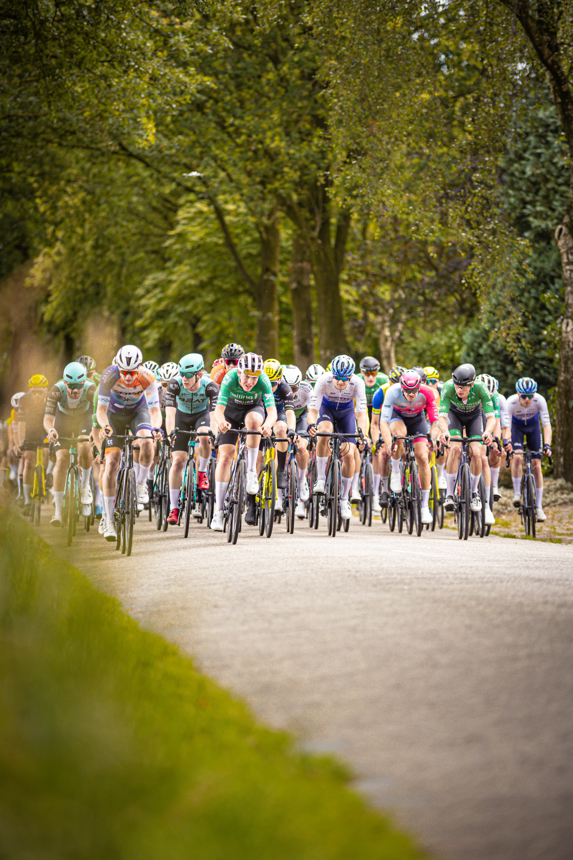 Group of cyclists riding down a street in the Midden Brabant Poort Omloop race.