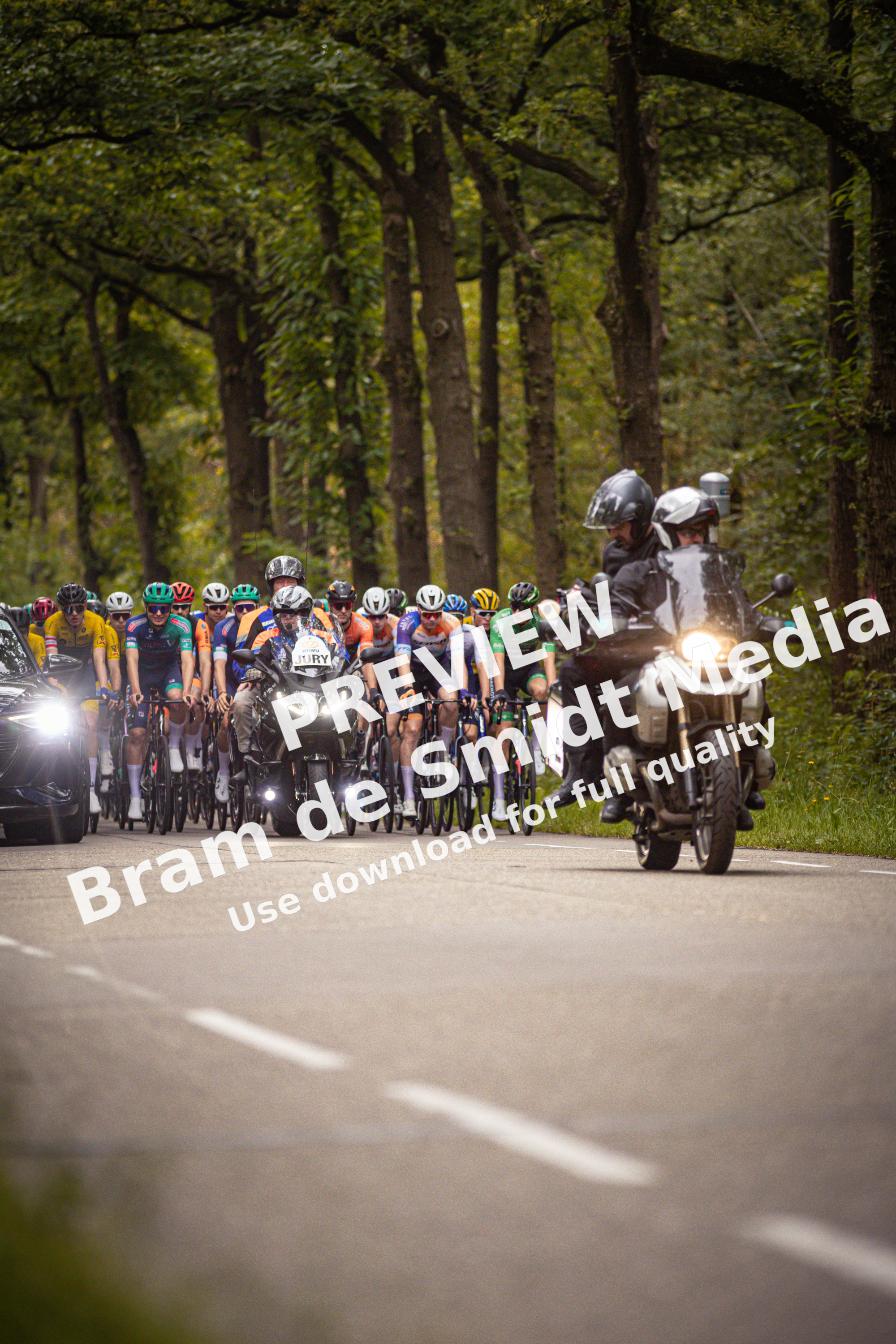 A group of cyclists in a race, one rider is wearing a number 24.