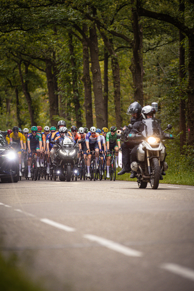 A group of cyclists in a race, one rider is wearing a number 24.