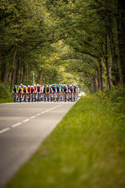 A group of cyclists participating in the Midden Brabant Poort Omloop race.