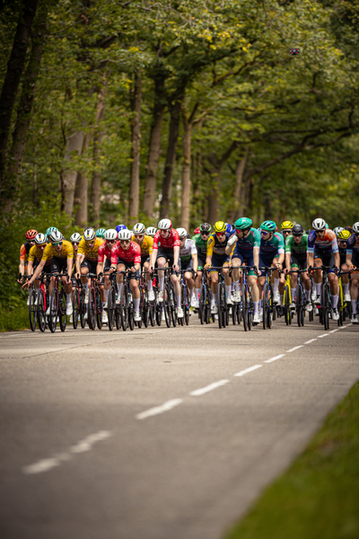 A group of cyclists race down a road as they compete in the Wielrennen Midden Brabant Poort Omloop.