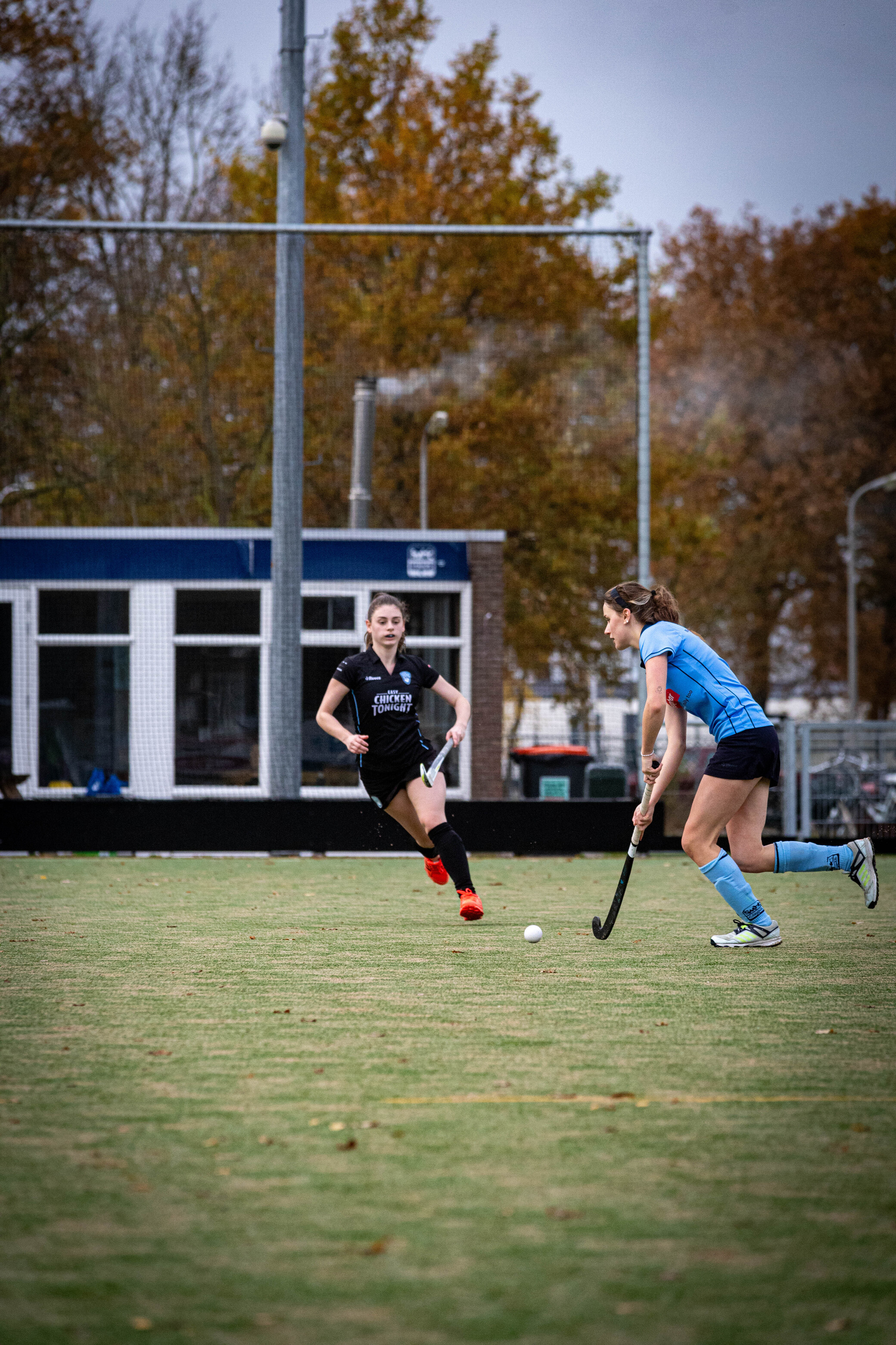 Girls playing hockey. A girl in a blue jersey is going after the ball.