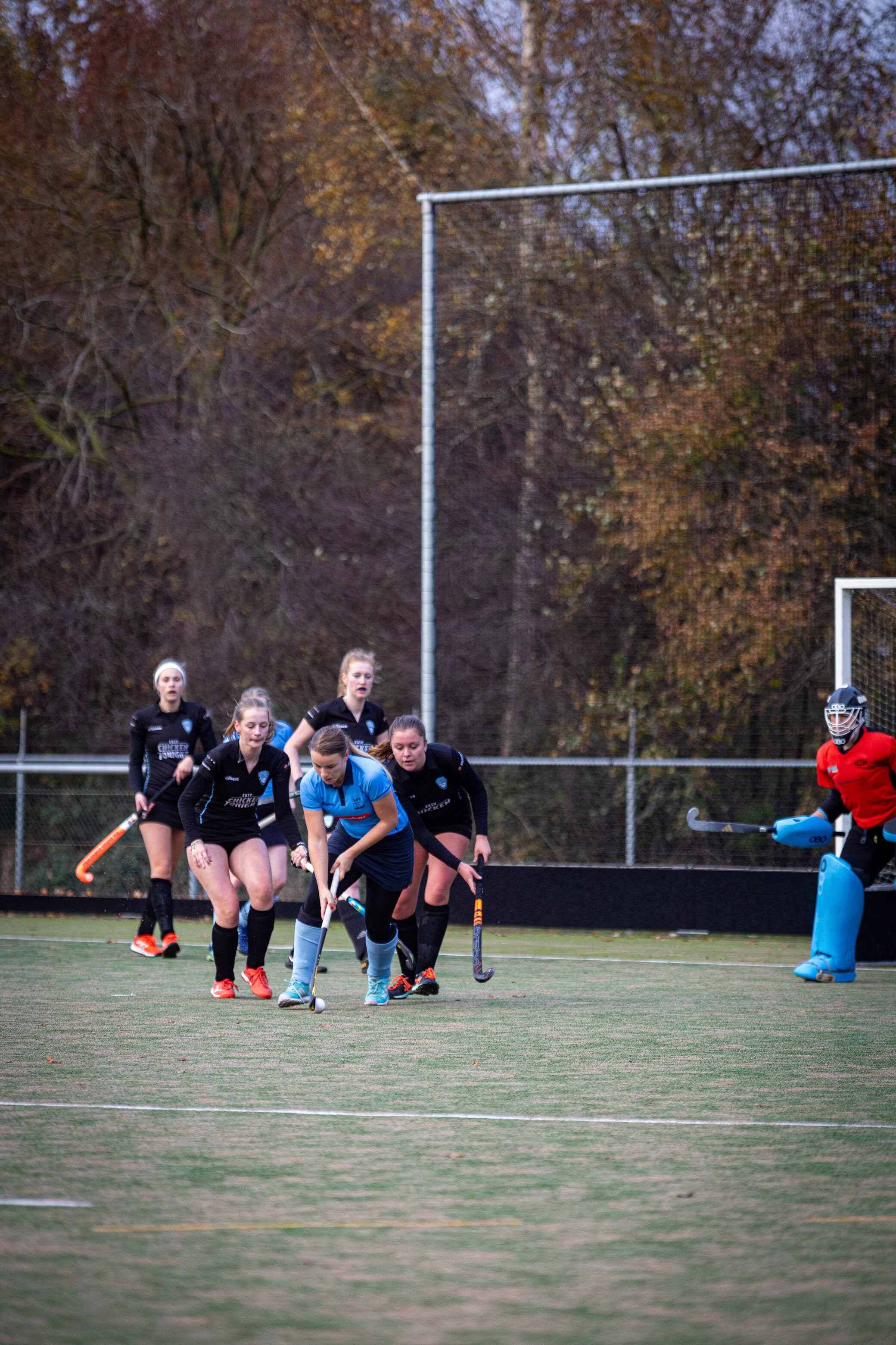 A group of female hockey players on a field with a goalie wearing blue.