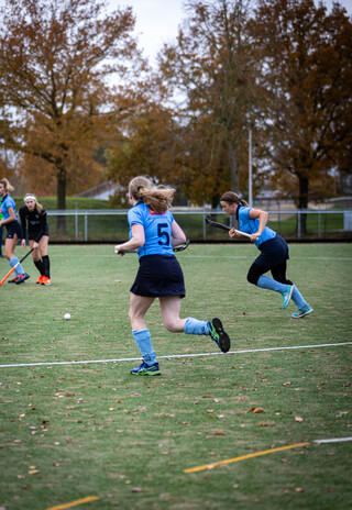 A girl with the number 5 on her blue jersey is playing hockey.