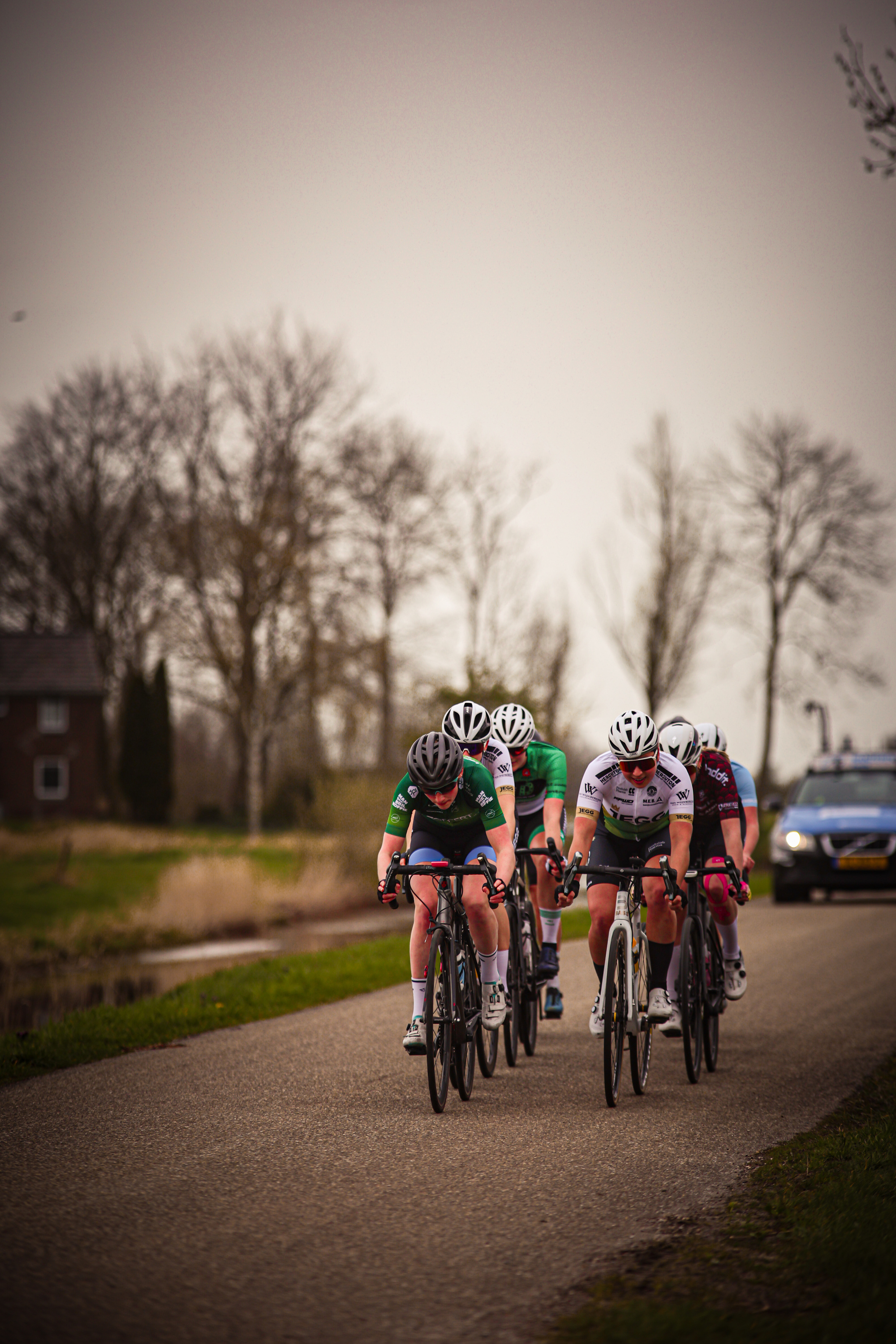 A group of cyclists on a road in the Netherlands, enjoying a leisurely ride with a backdrop of trees and a building.