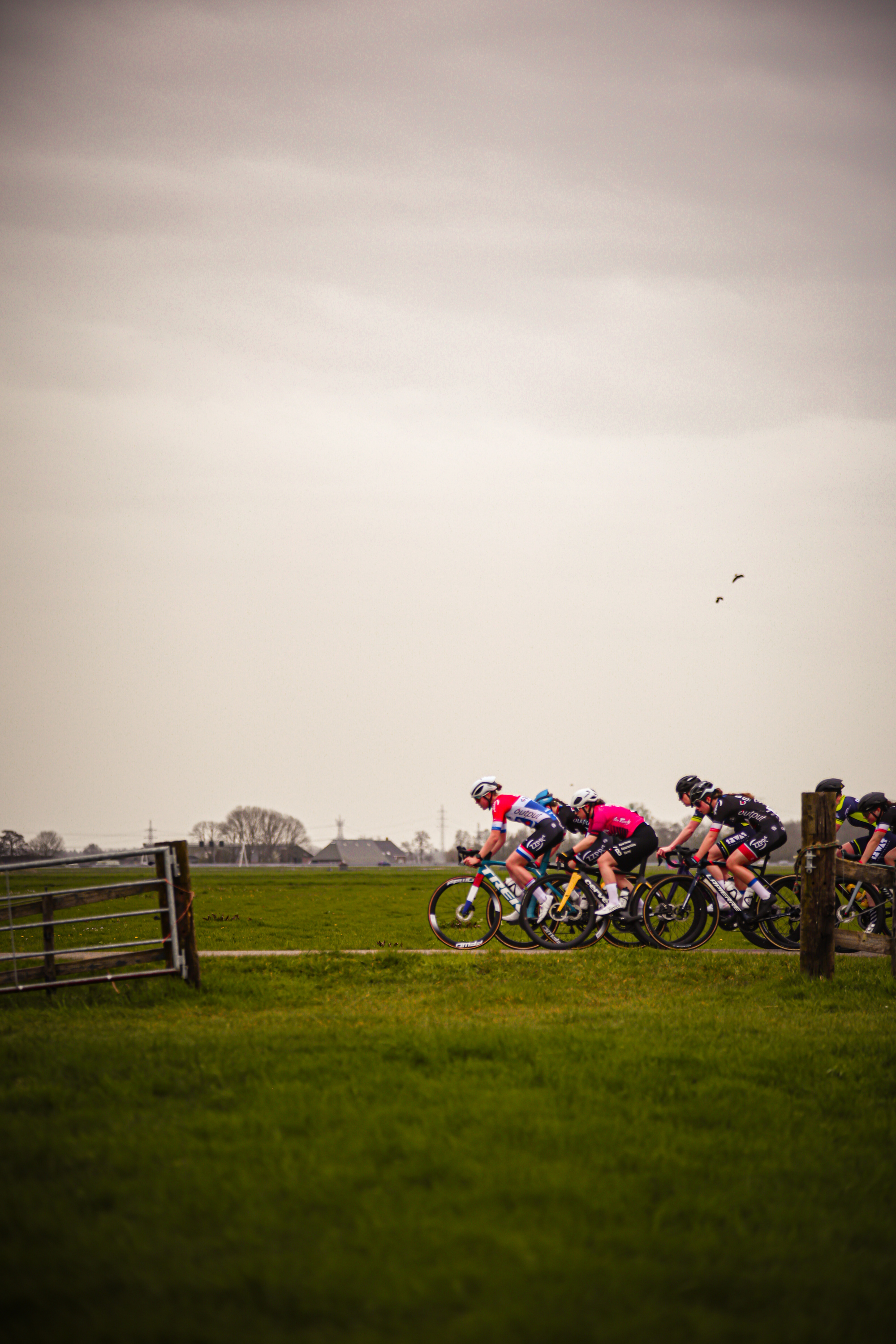 A group of bicyclists in motion on a grassy field.