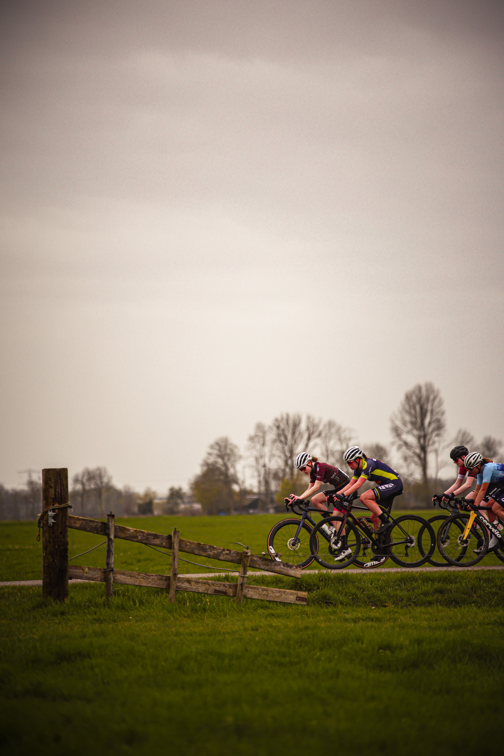 Four cyclists are riding their bikes along a fenced path, as they compete in the Ronde Van de Lichtmis race.