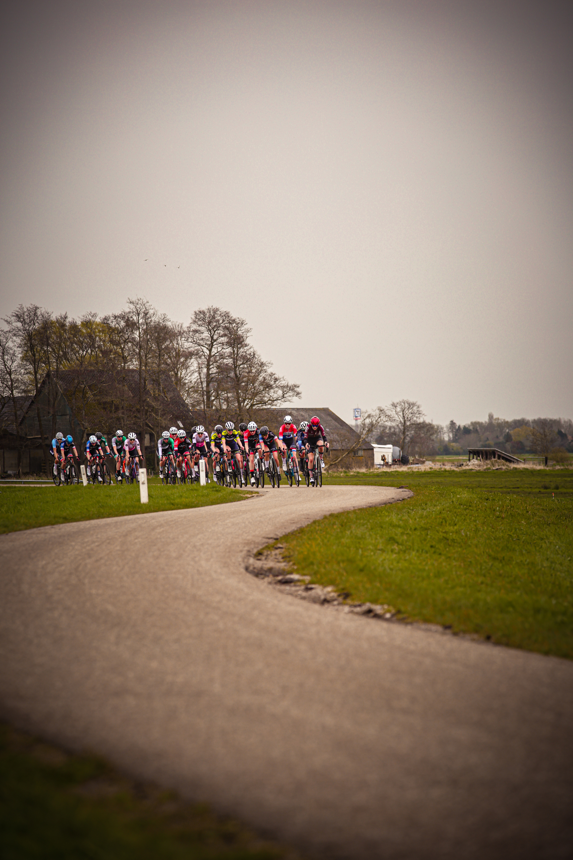 A group of cyclists riding on a road, the cyclist in the front is number 3.