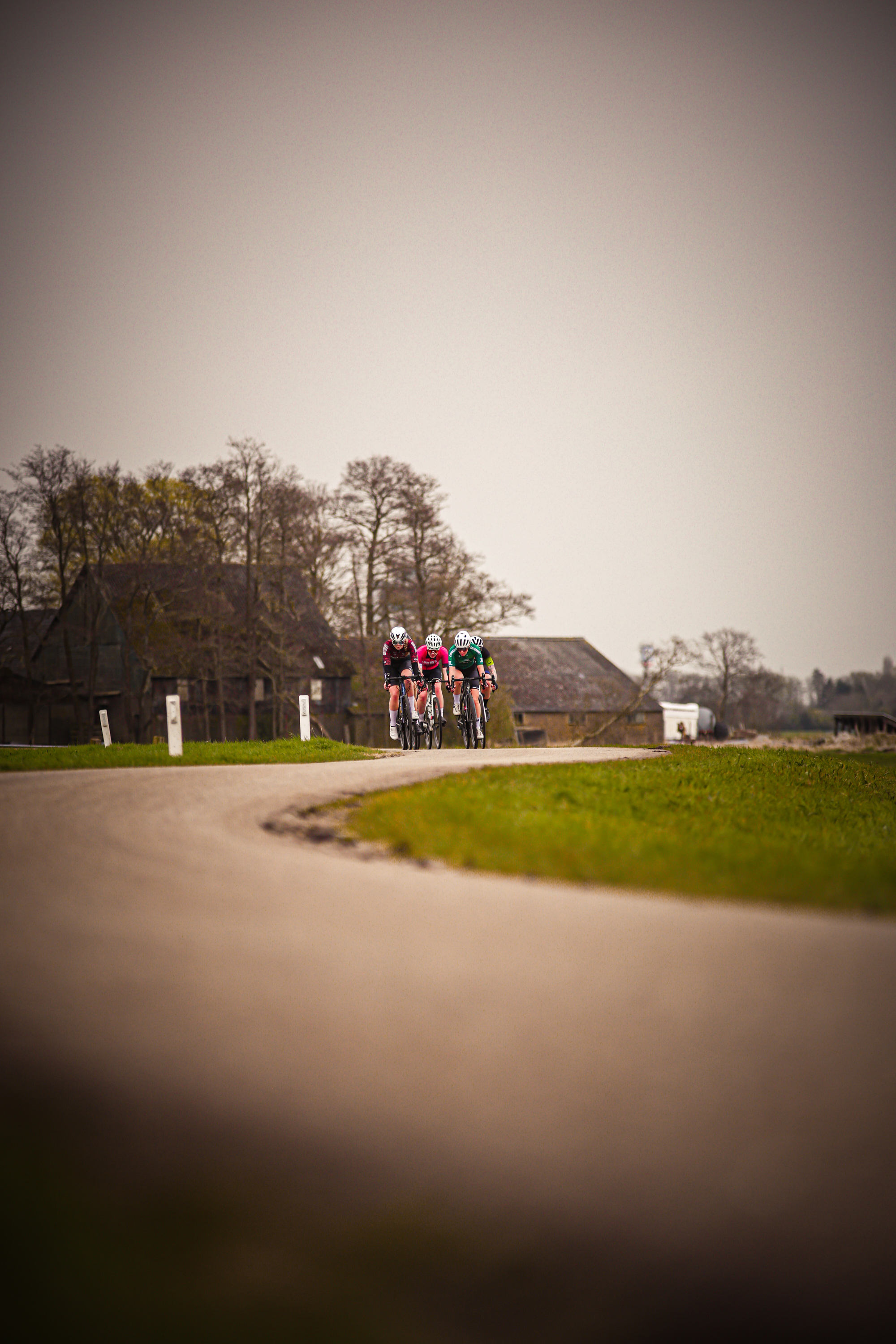 Riders on bicycles race down a street, passing houses and trees.