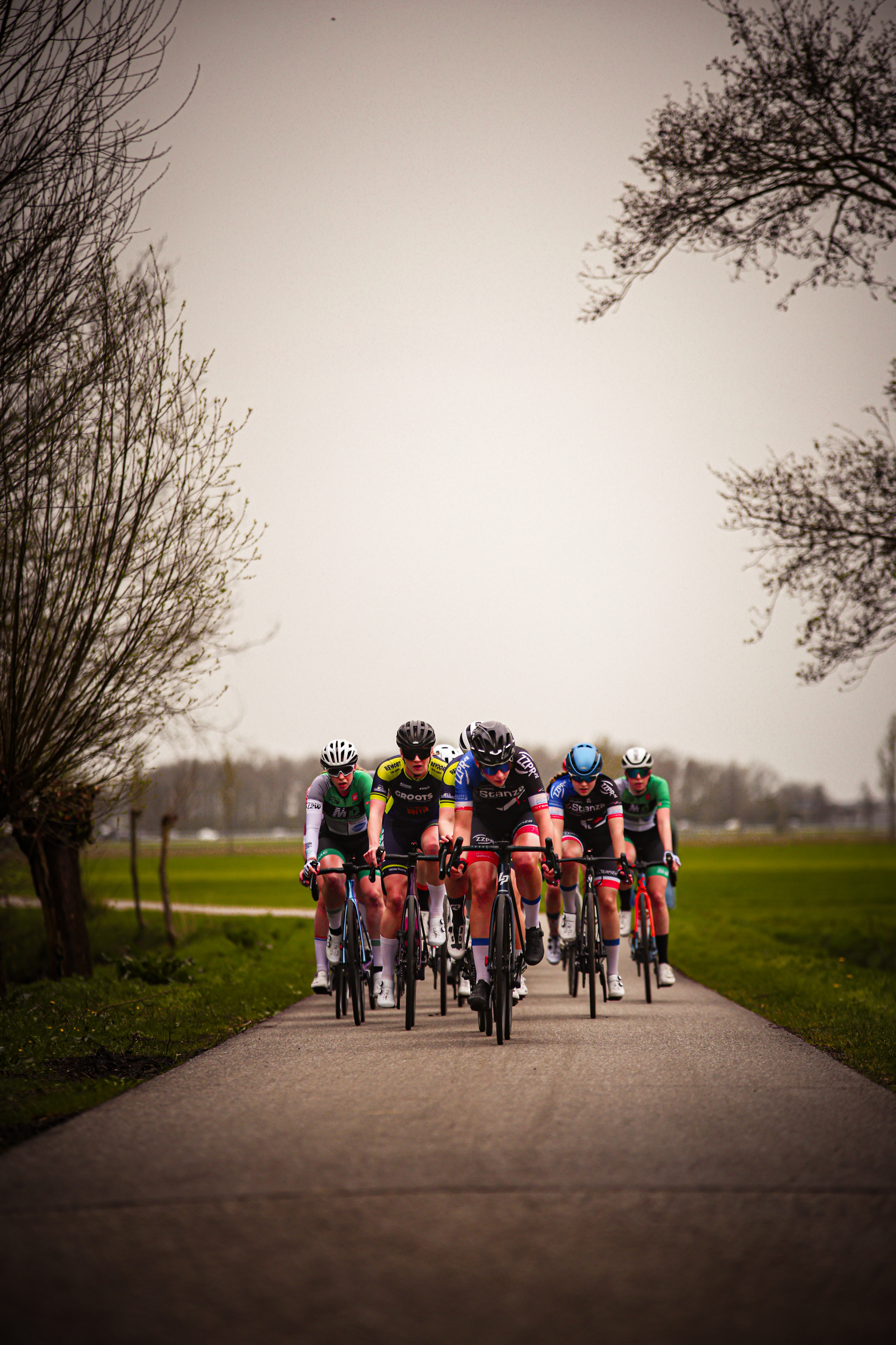 Four cyclists are riding on a road with their bikes.