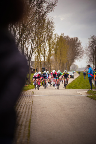 A cyclist competition is taking place on a paved road. The road has a white line and the cyclists are going down it.