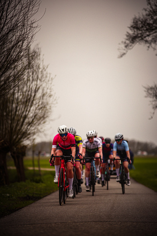 Four cyclists on a street, one in pink jersey and three in black.