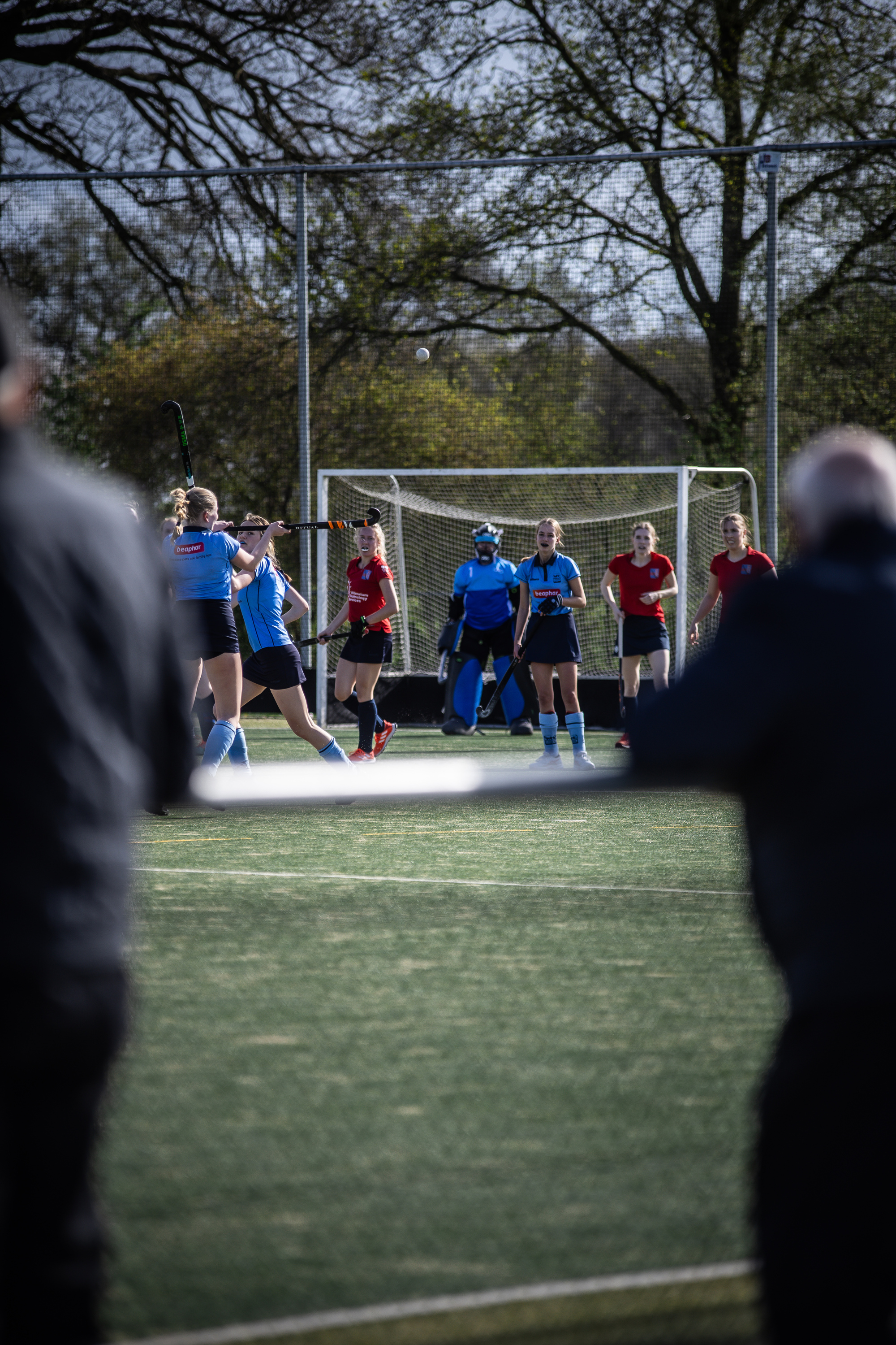 "Seven hockey players, 3 in blue and 4 in red, on a field by a goal. A man with his back to the camera watches them play."