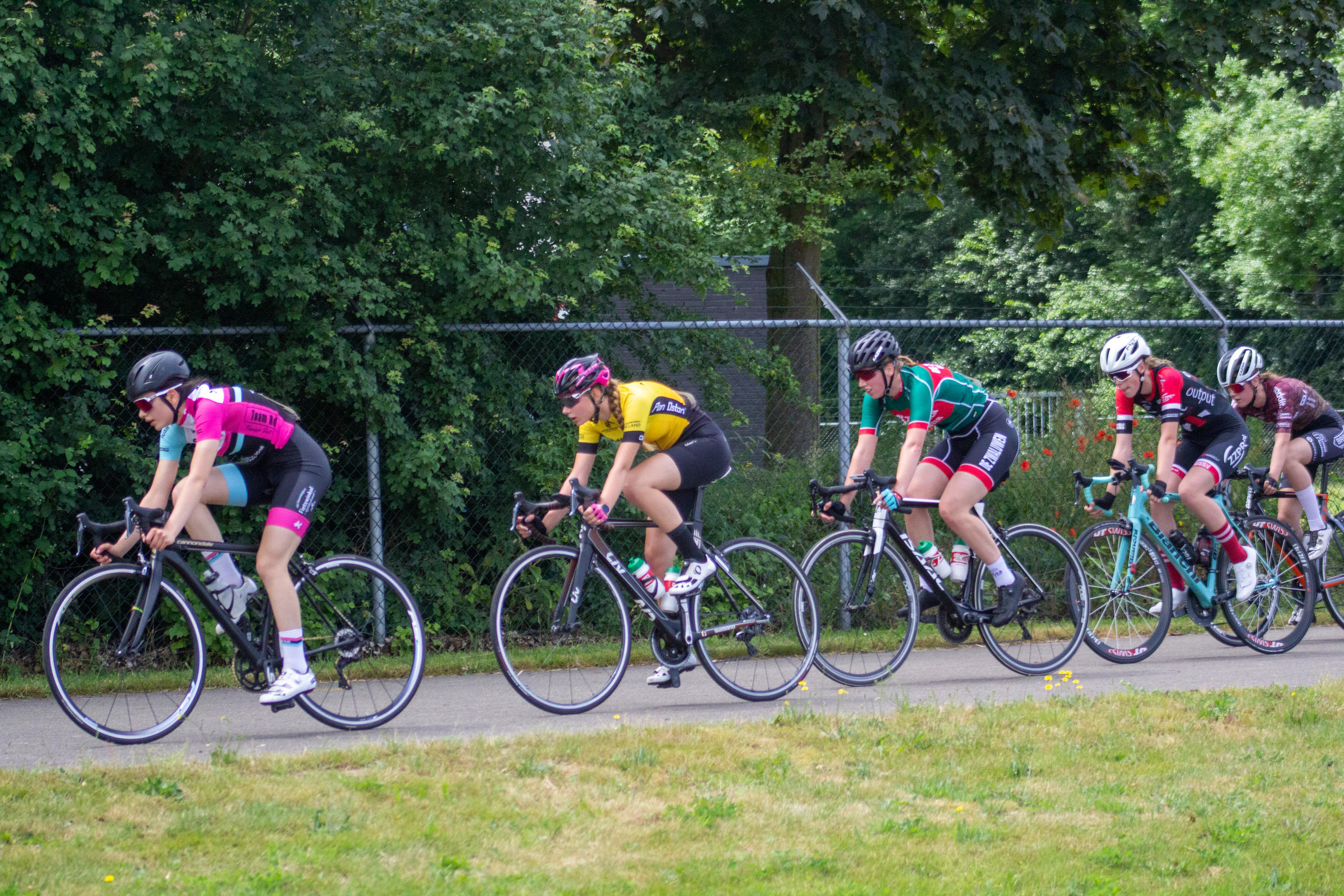 A group of cyclists participate in the Dames ronde van Deventer.