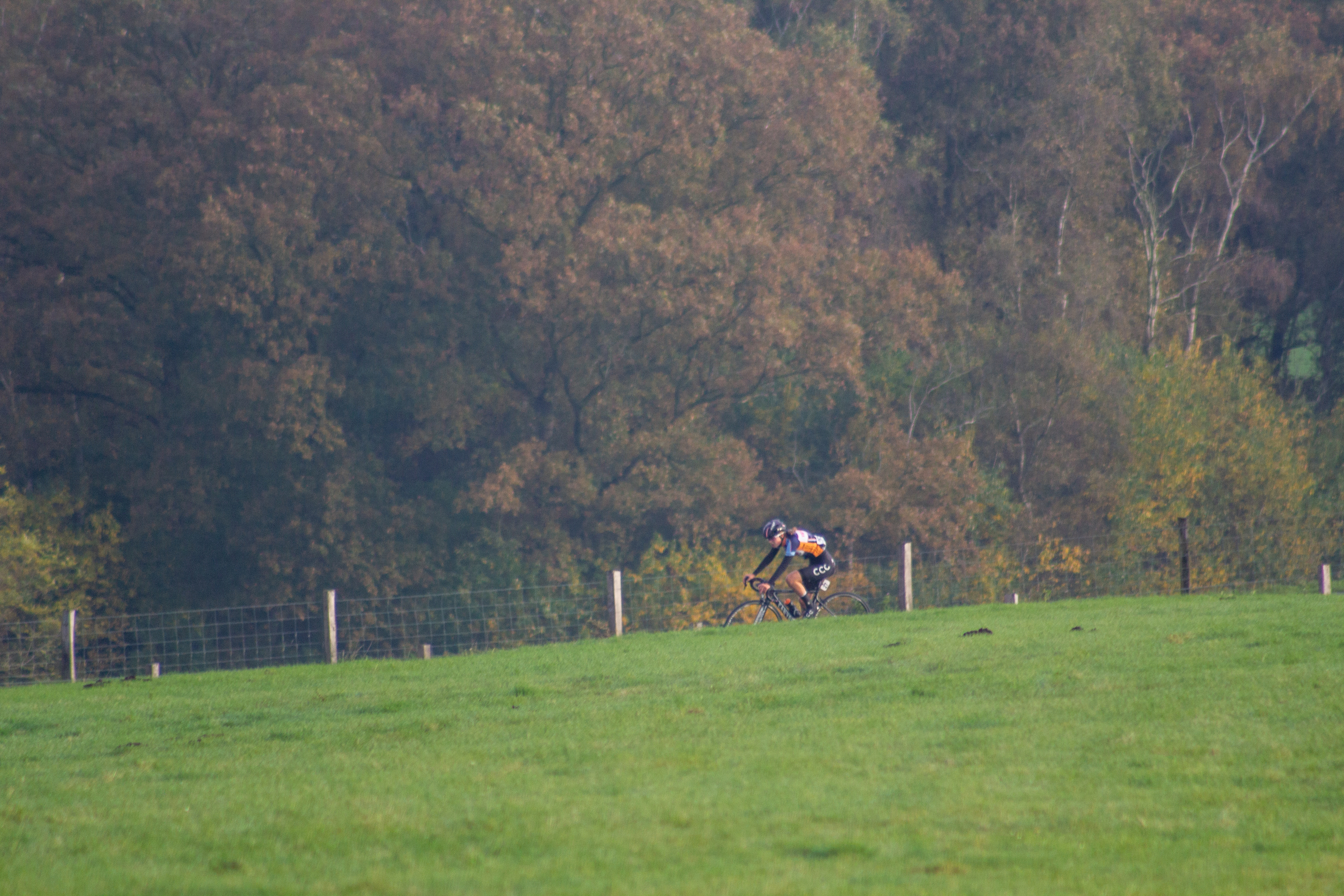 A cyclist in a blue and black jersey riding a bike across a field.