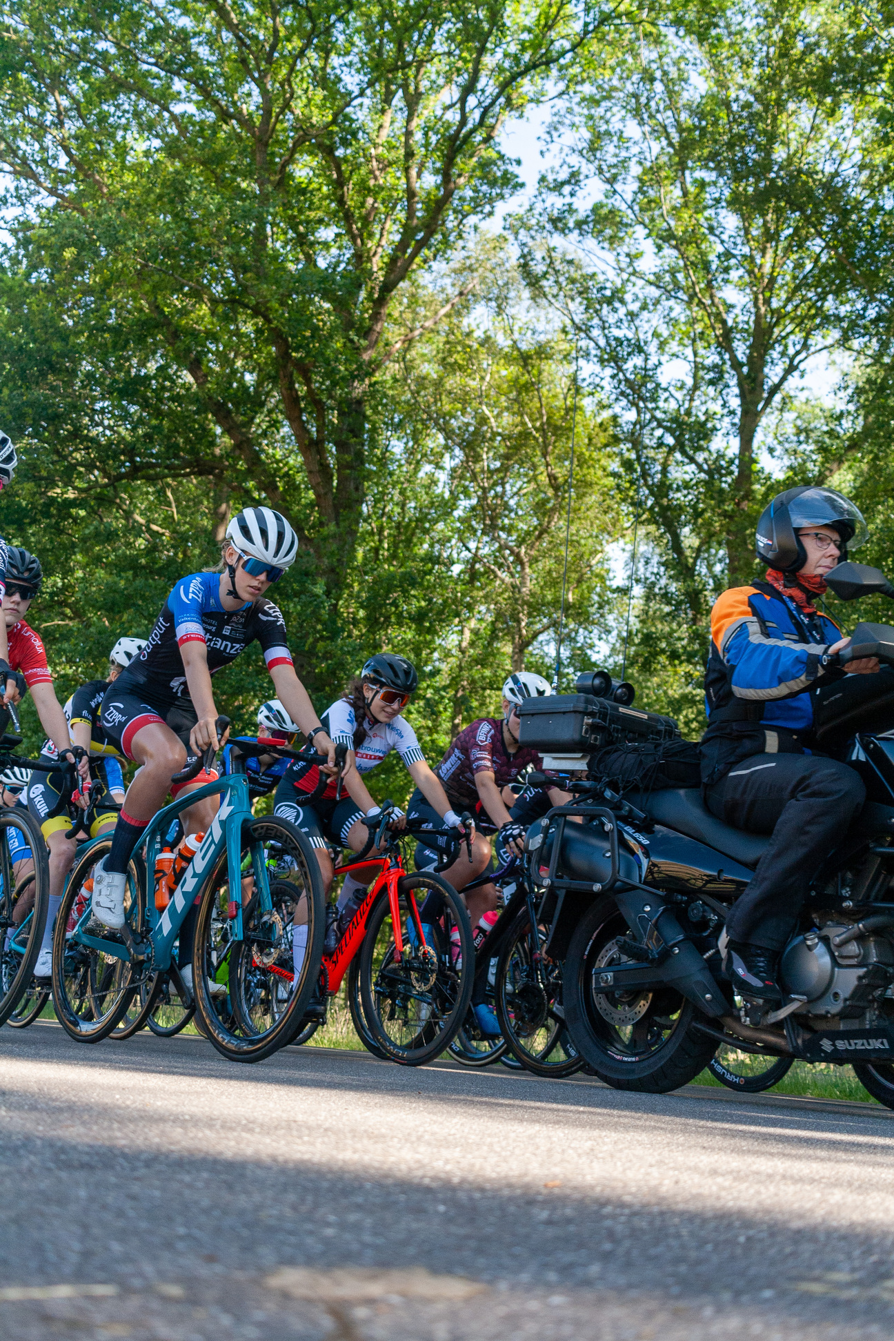 A group of bikers are wearing blue and white jerseys and helmets as they race on a paved road in front of trees.