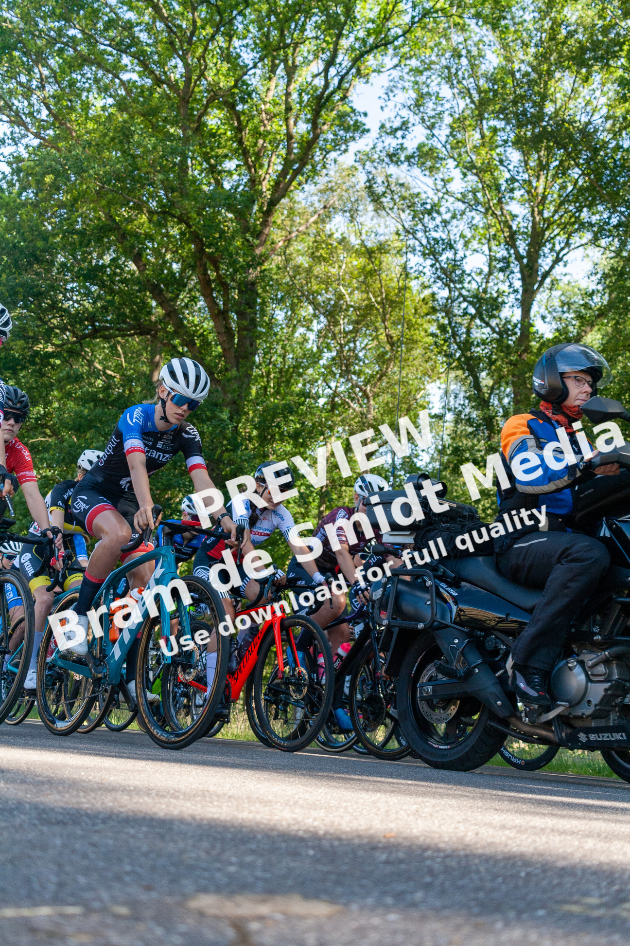 A group of bikers are wearing blue and white jerseys and helmets as they race on a paved road in front of trees.