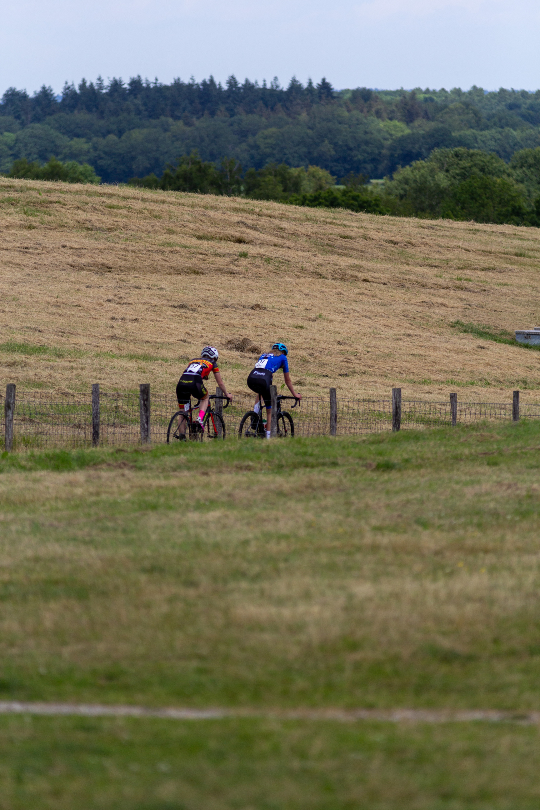 A group of cyclists race through a field, one wearing number 4 and the other number 5.