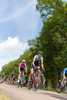 A group of cyclists riding a road in the Netherlands.