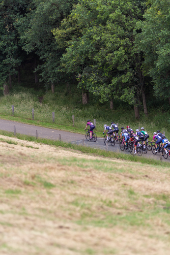 A group of cyclists are riding on a road and one person is wearing the number 15.