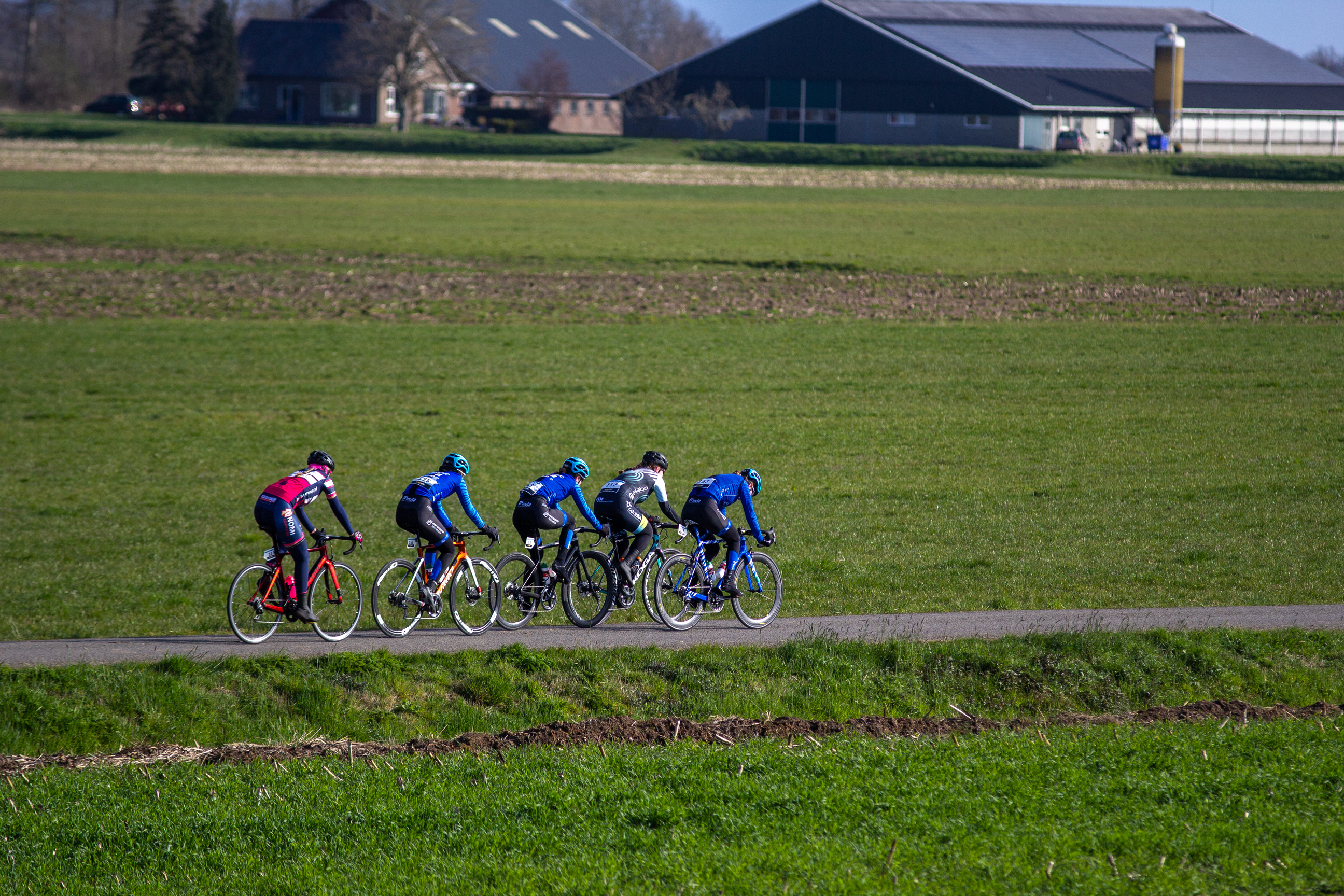 Several cyclists are riding down a road on a sunny day.