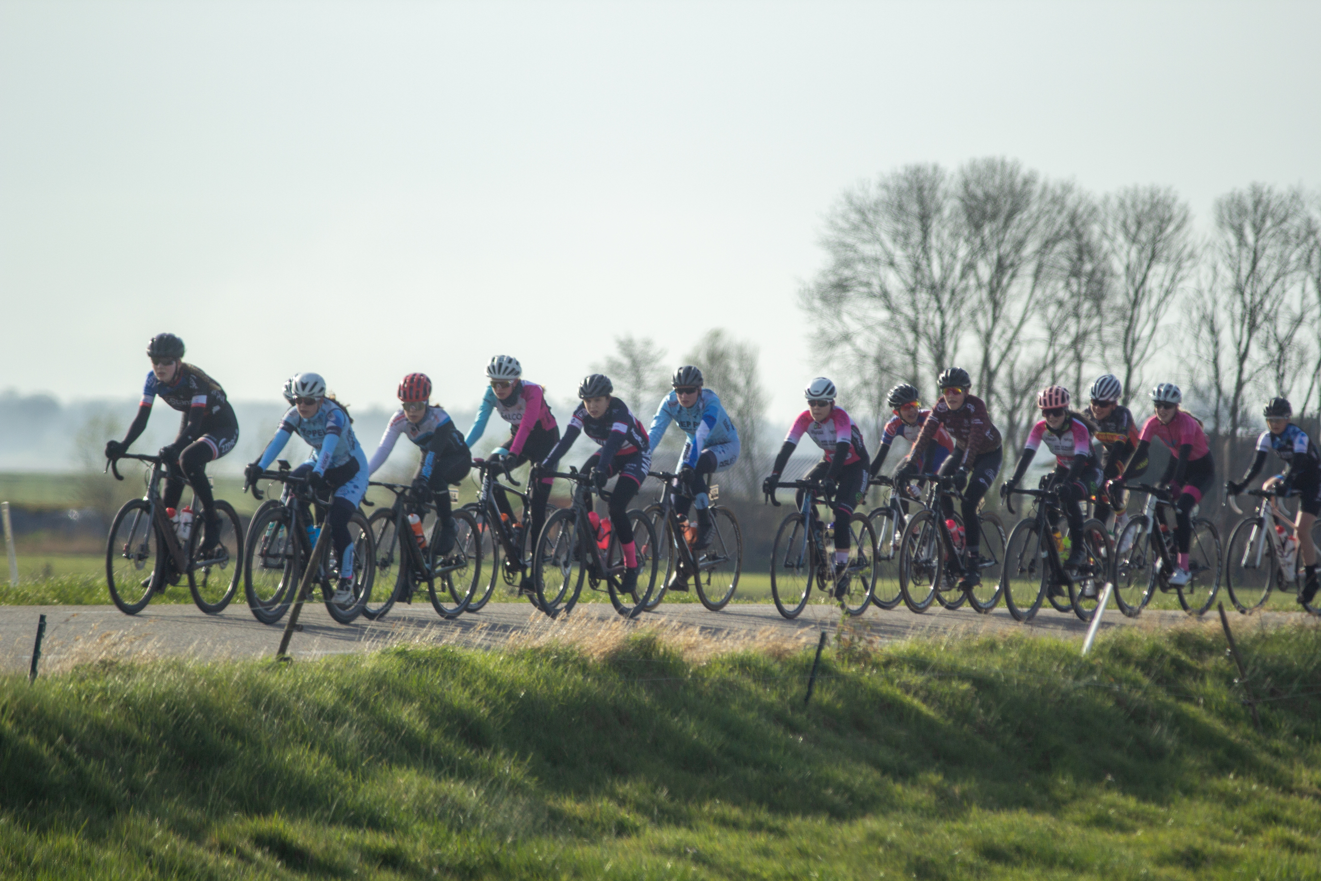 A group of cyclists race through a rural landscape. They are all wearing helmets and riding on road bikes.