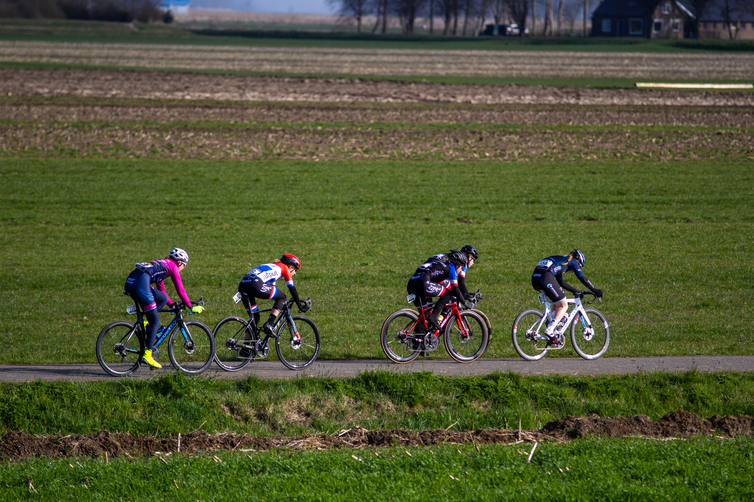 A group of cyclists participate in a race through a lush green field.