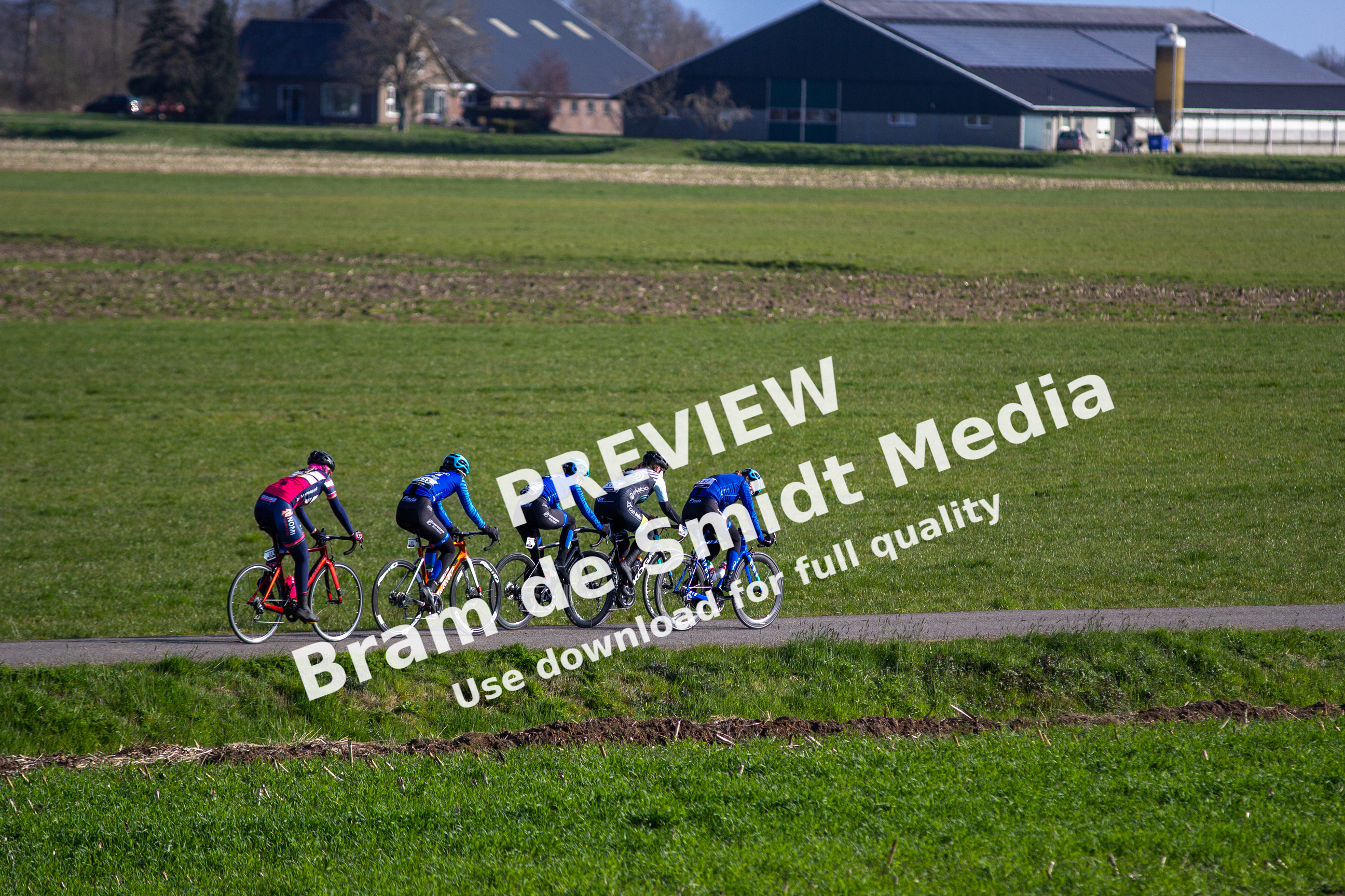 Several cyclists are riding down a road on a sunny day.