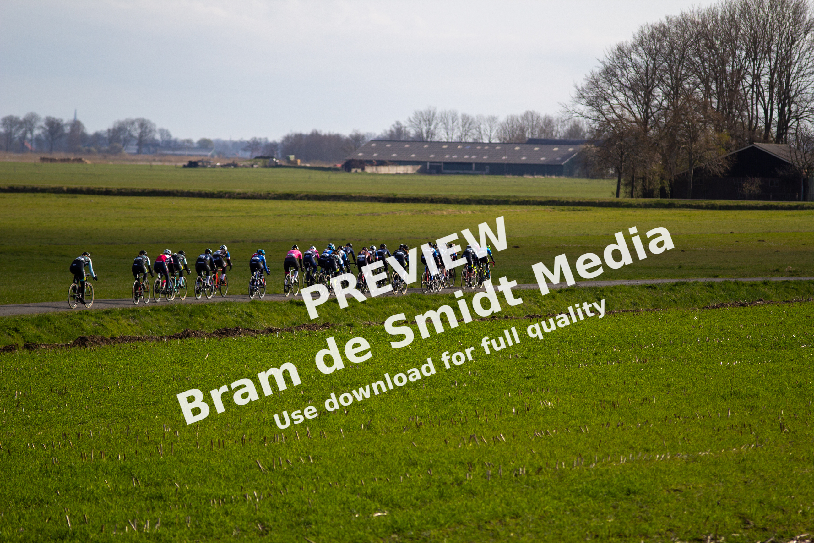 A group of cyclists are riding in a line on a grassy field, with the word "Wielrennen" displayed above them.