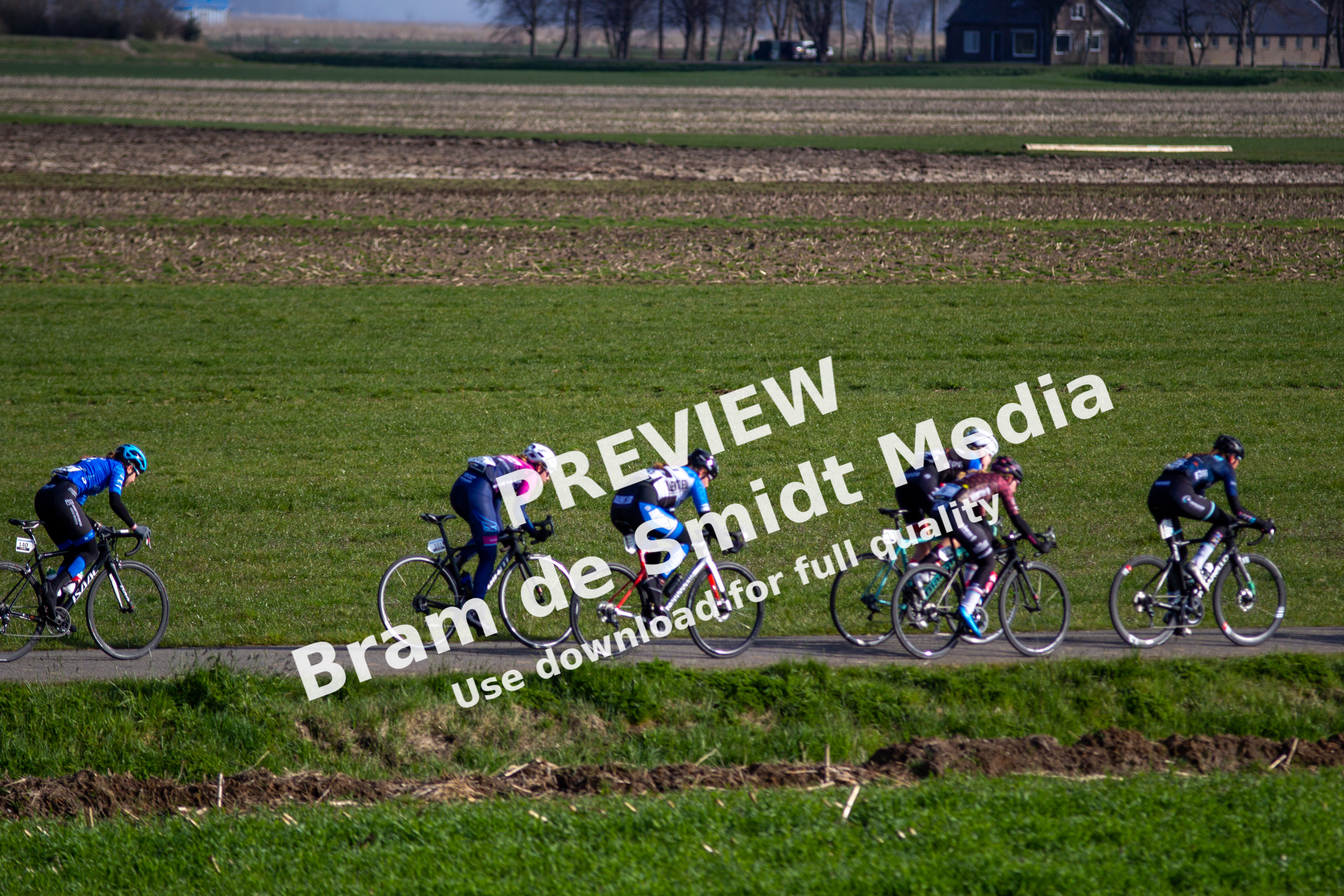 Four cyclists participating in a race on a sunny day.