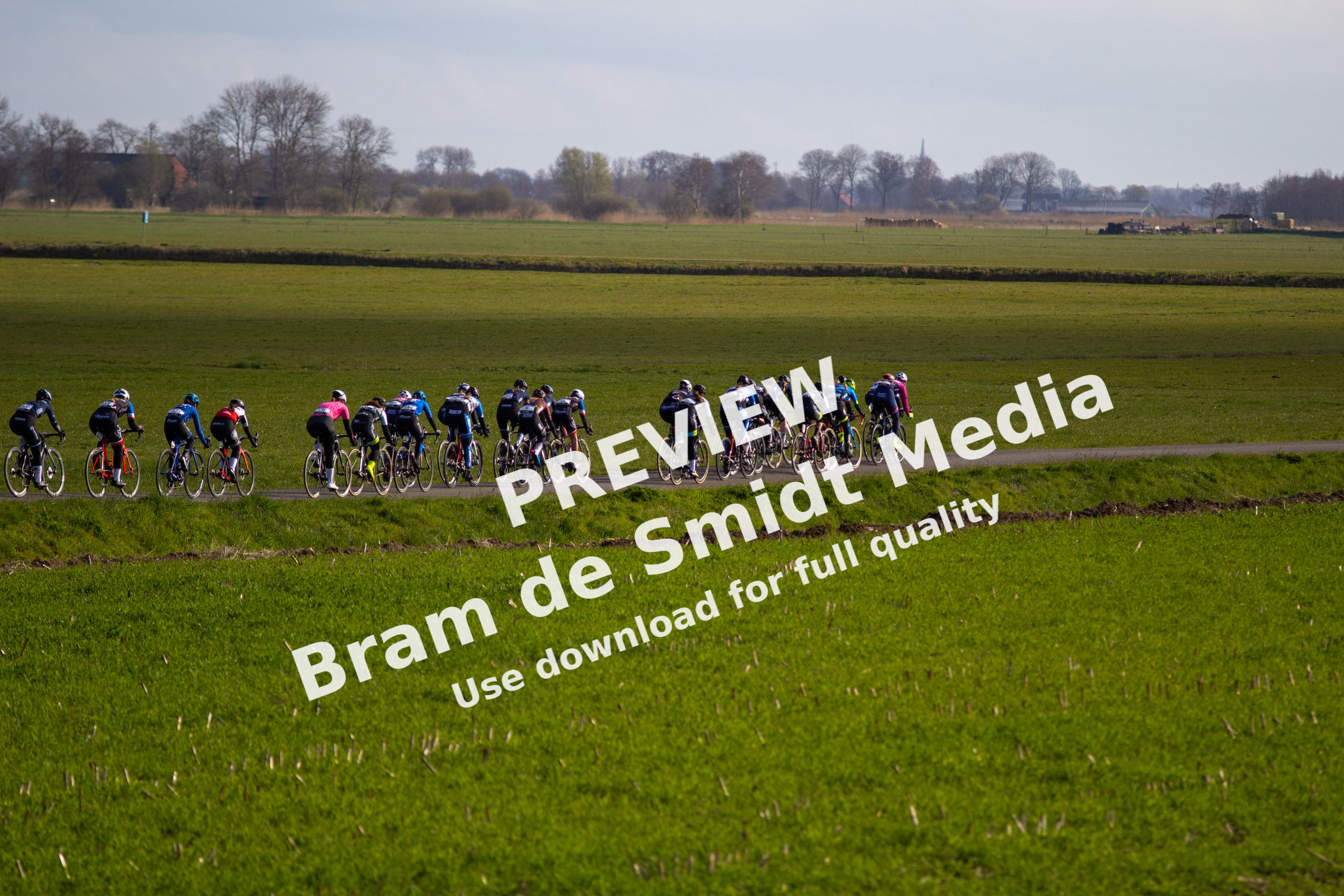 A group of cyclists are racing through a field on a clear day.