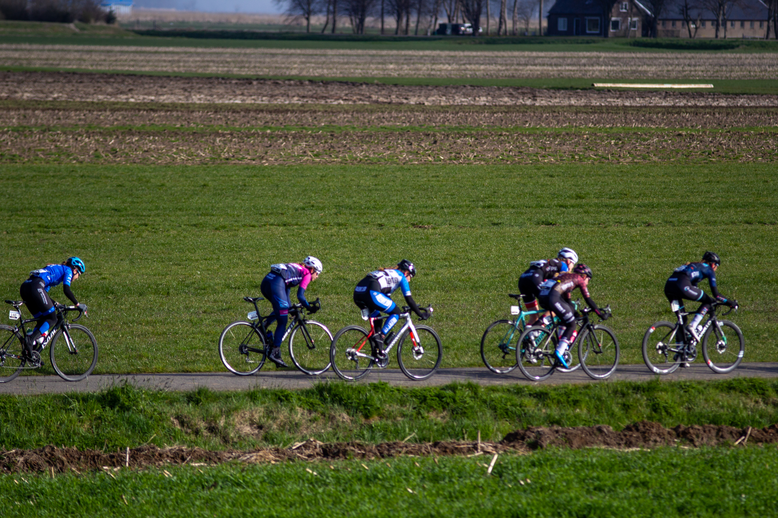 Four cyclists participating in a race on a sunny day.