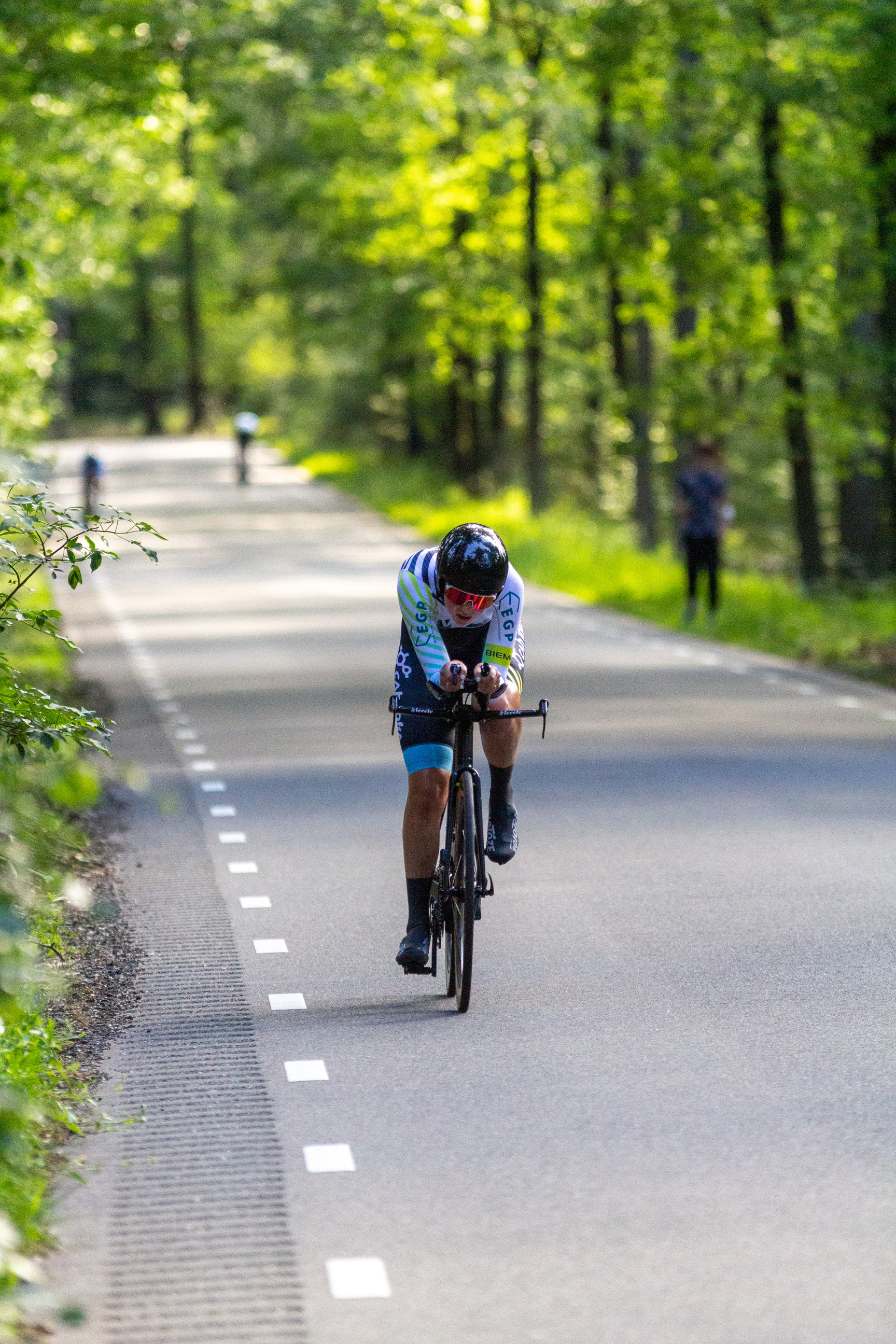 A person is riding a bicycle down a tree lined road.