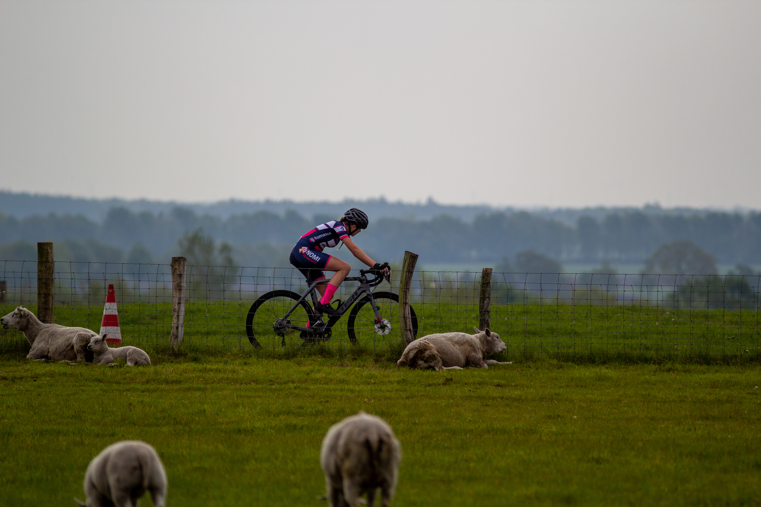 A woman is cycling in the countryside and her bike is being followed by three sheep.