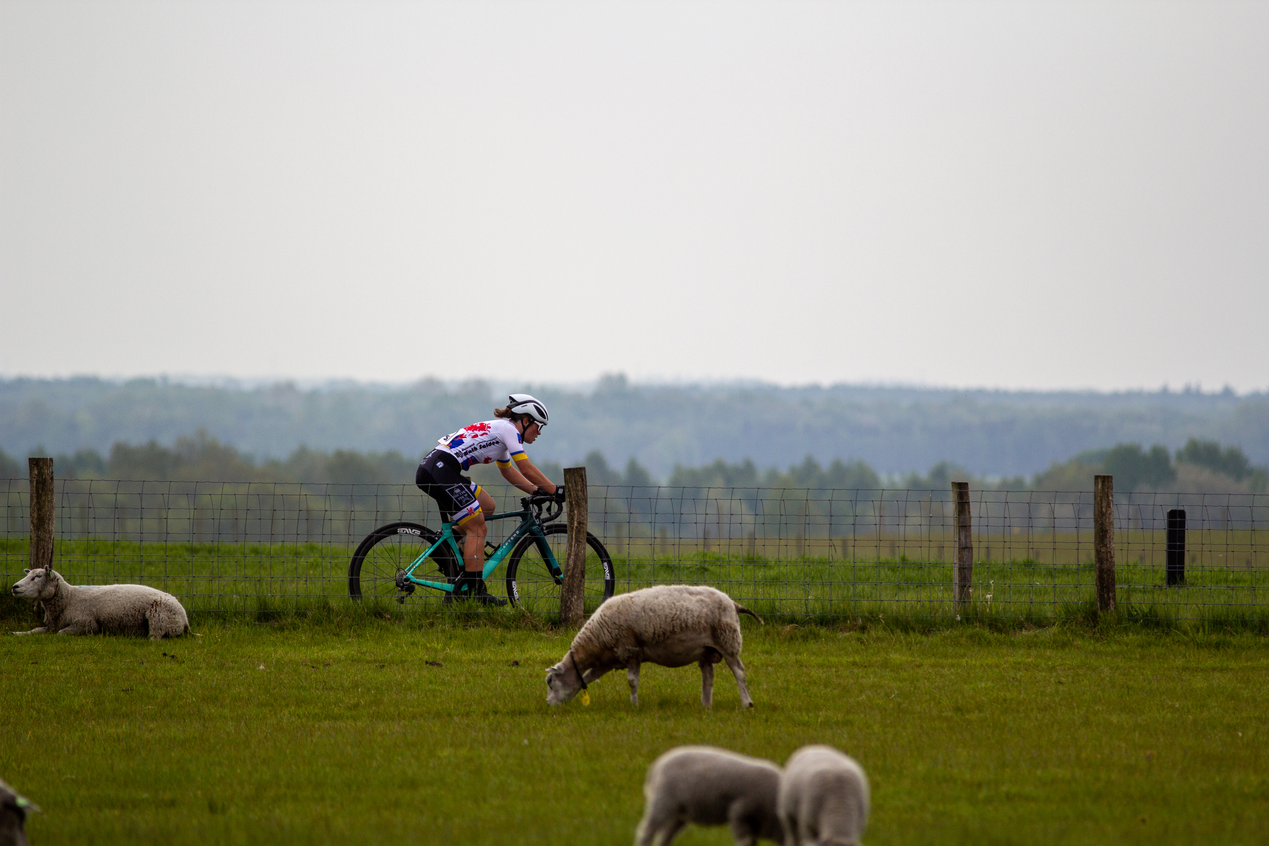 A cyclist wearing a jersey with the number 5 on it.