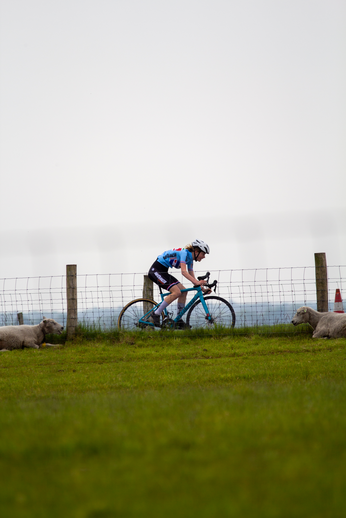 A cyclist wearing a blue and white jersey is riding her bike on a grassy field near two sheep.