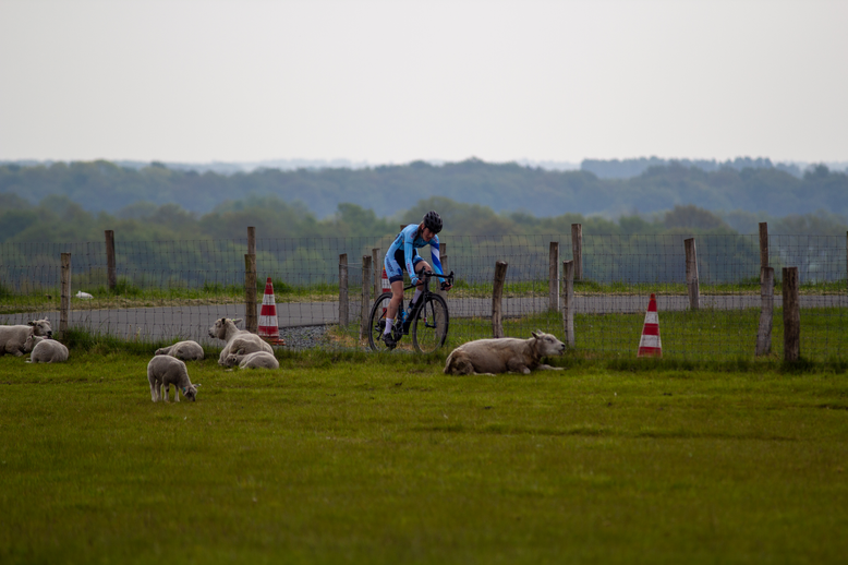 A woman is riding her bike while others, including sheep, are lying down on the grassy field.