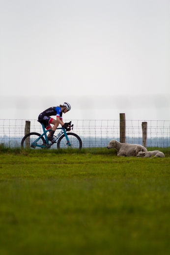 A cyclist on a trail with a sheep lying down in front of her.