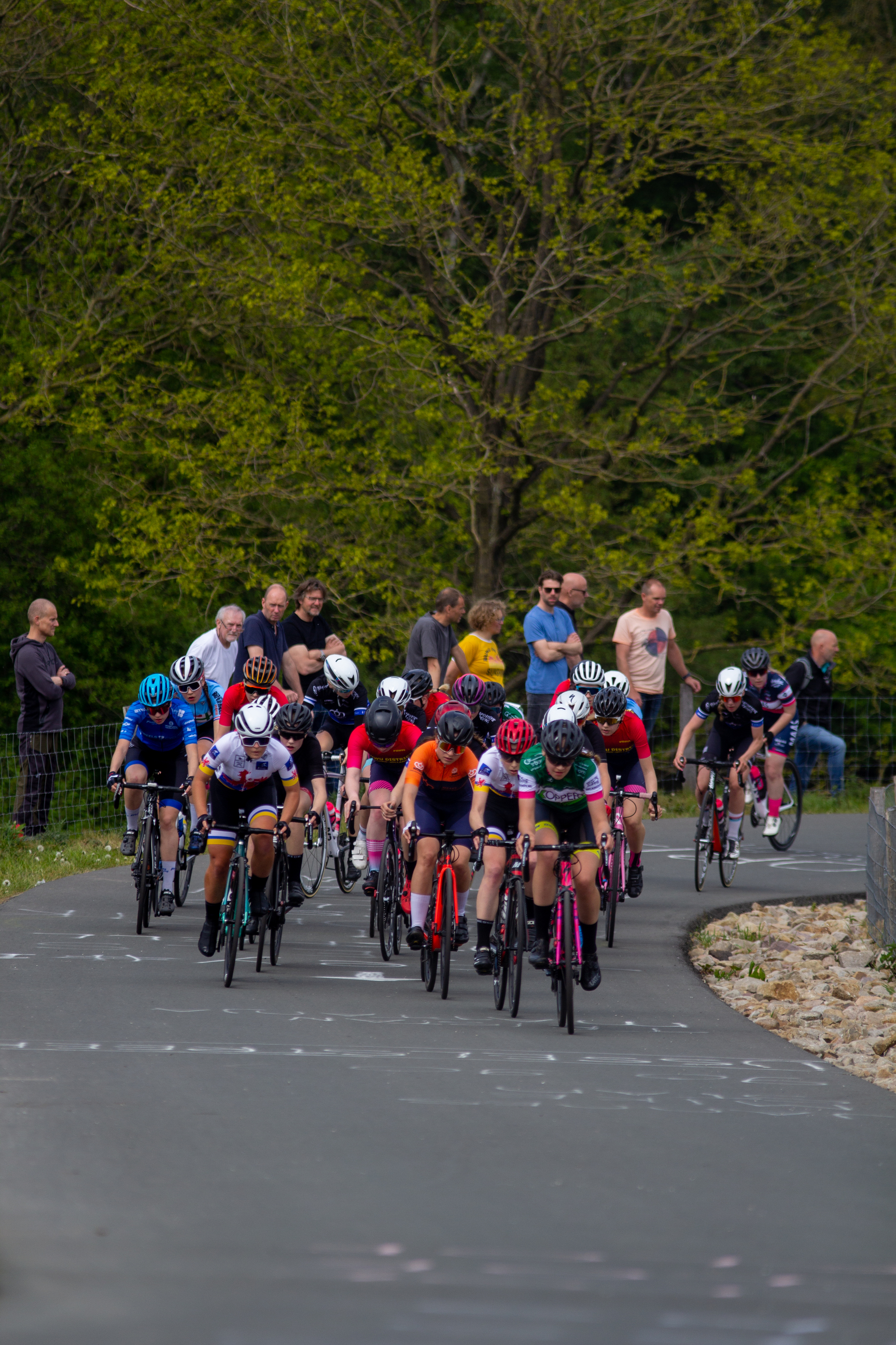 A group of cyclists participate in the Tweedaagse race.