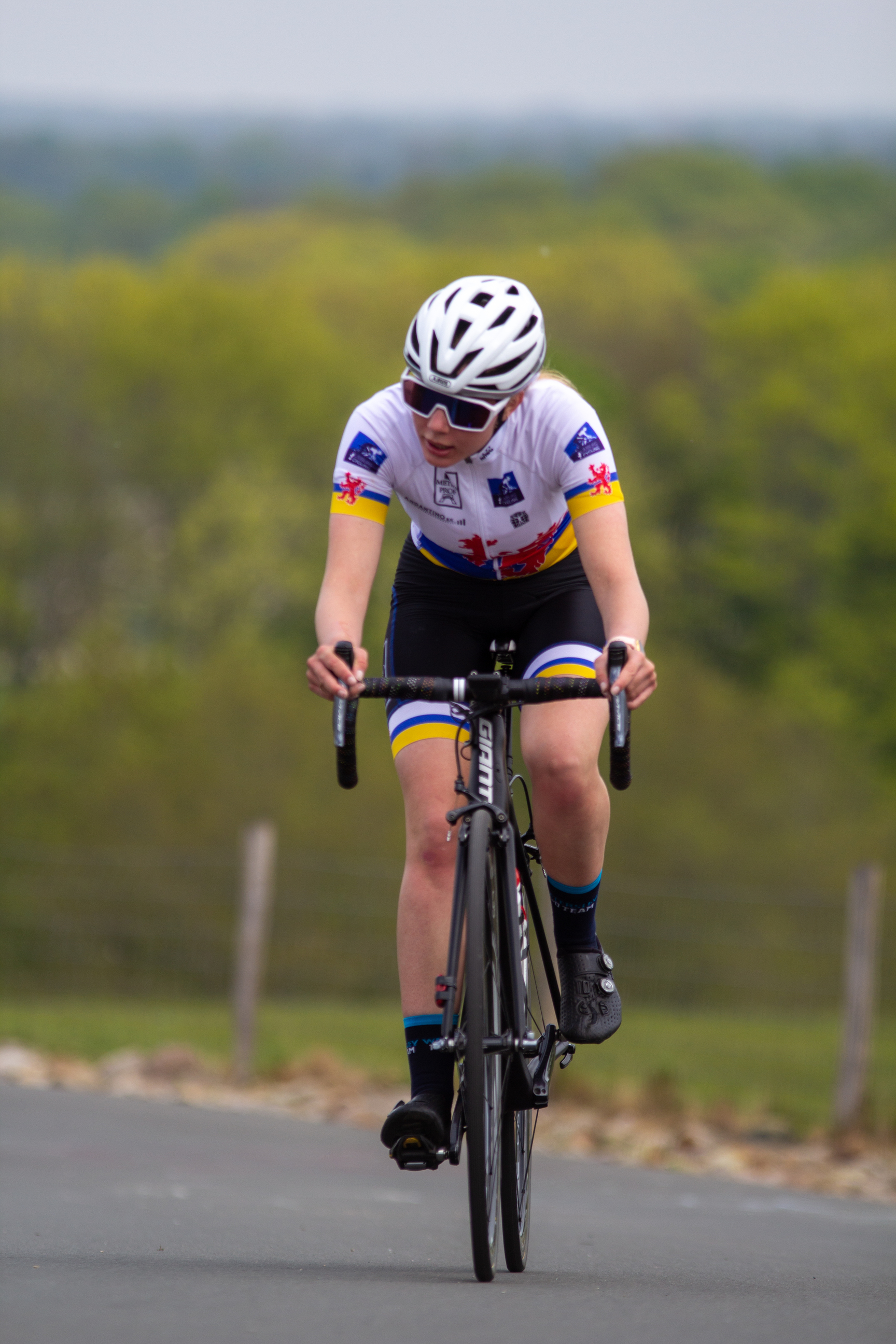 A bicycle racer, number 5 with the word Netherlands on their shirt, speeds along a road lined with a fence and trees.