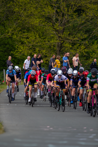 A race is taking place in the Netherlands. The cyclists are riding on a paved road lined with trees and spectators.