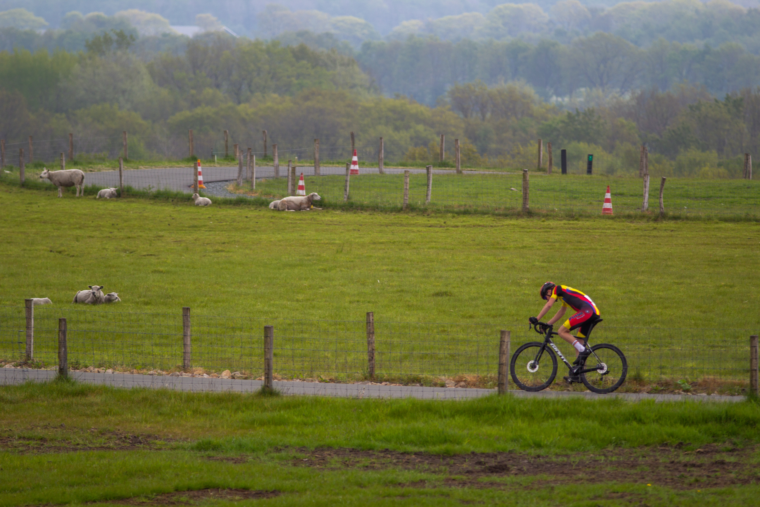 A cyclist wearing a red and blue jersey is riding his bicycle on a dirt road.