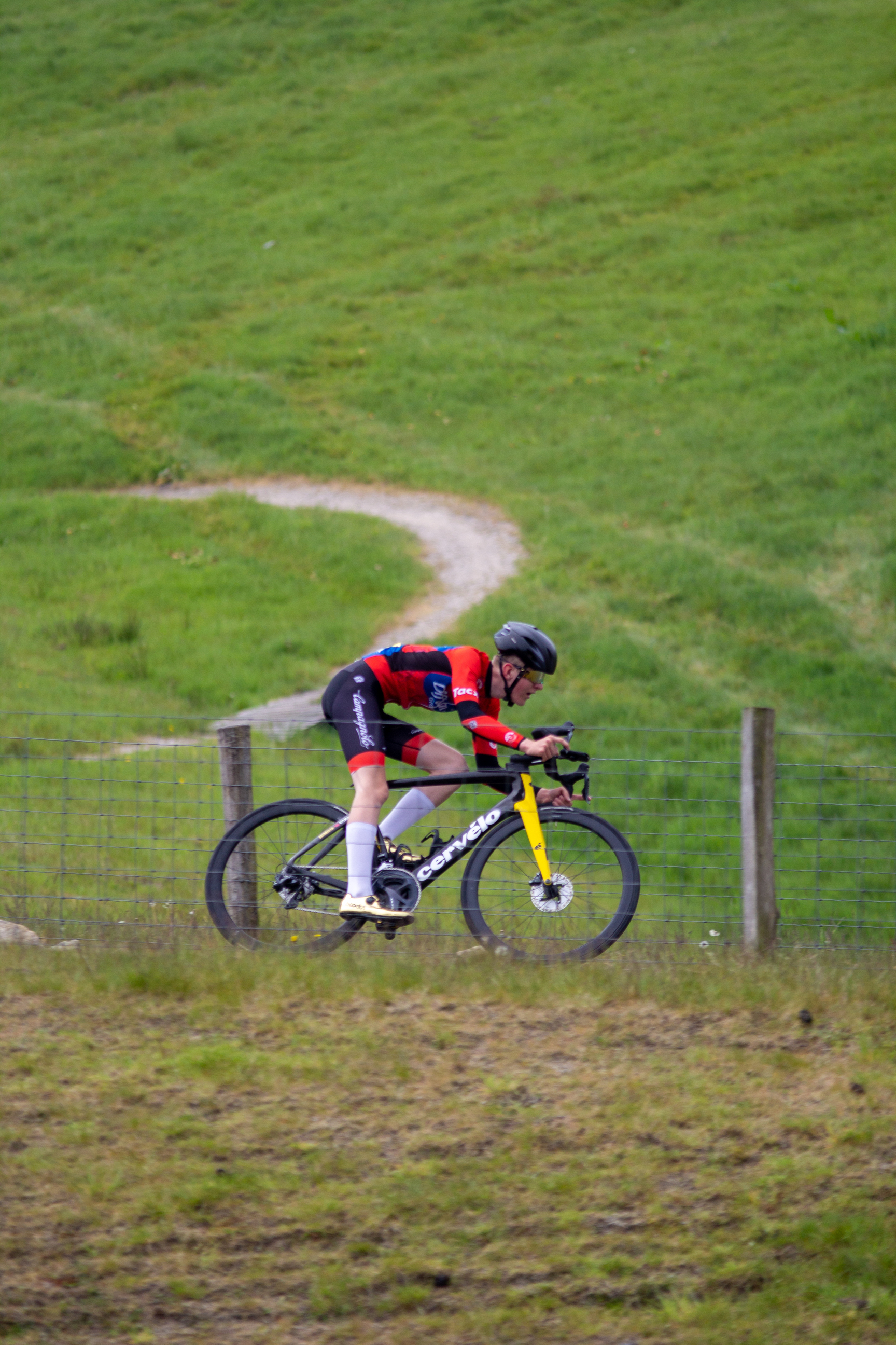 A cyclist is riding his bike down a grassy hill, which has the number 8 on it.